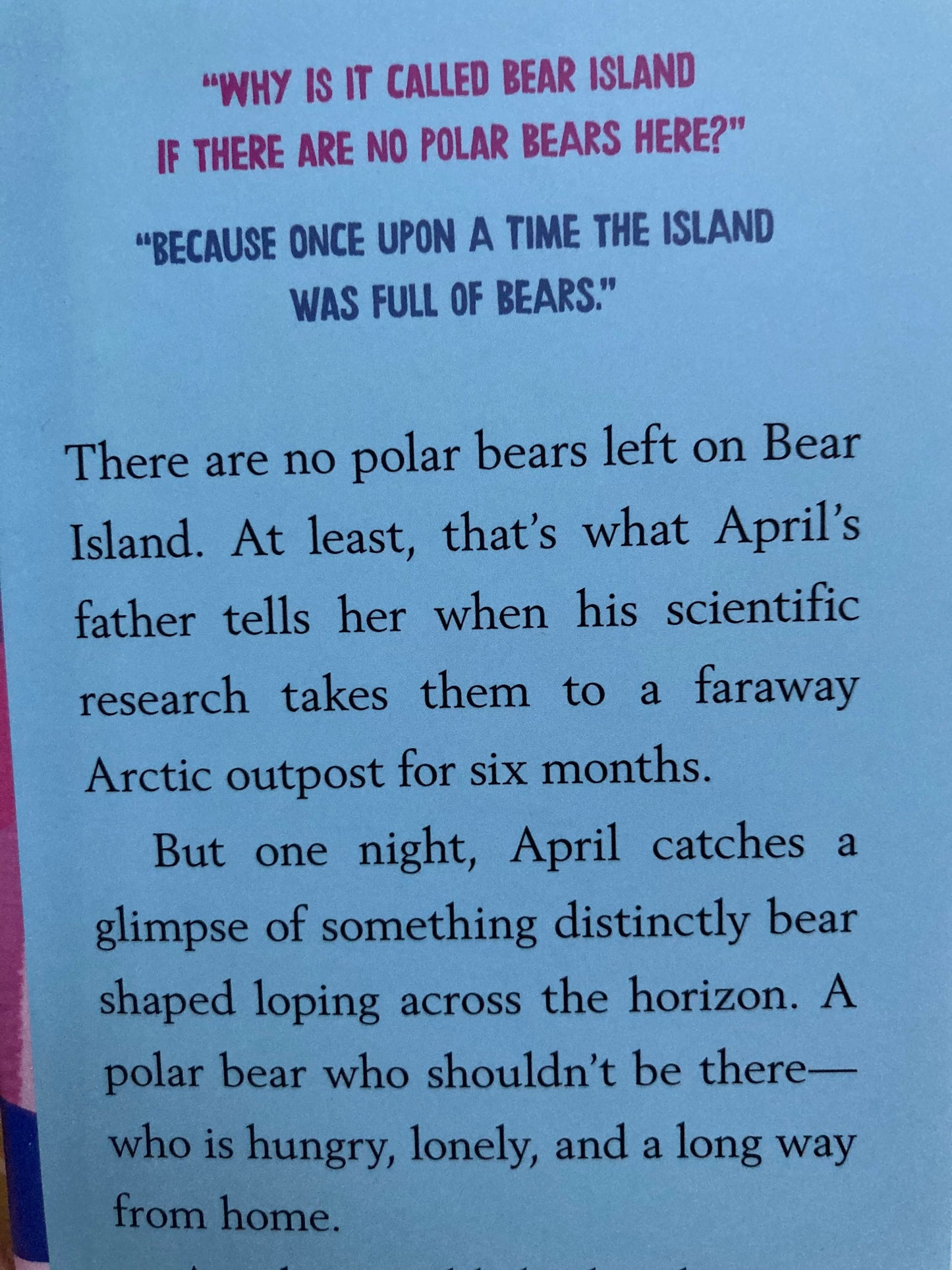 Chapter Book for Young Readers - THE LAST BEAR