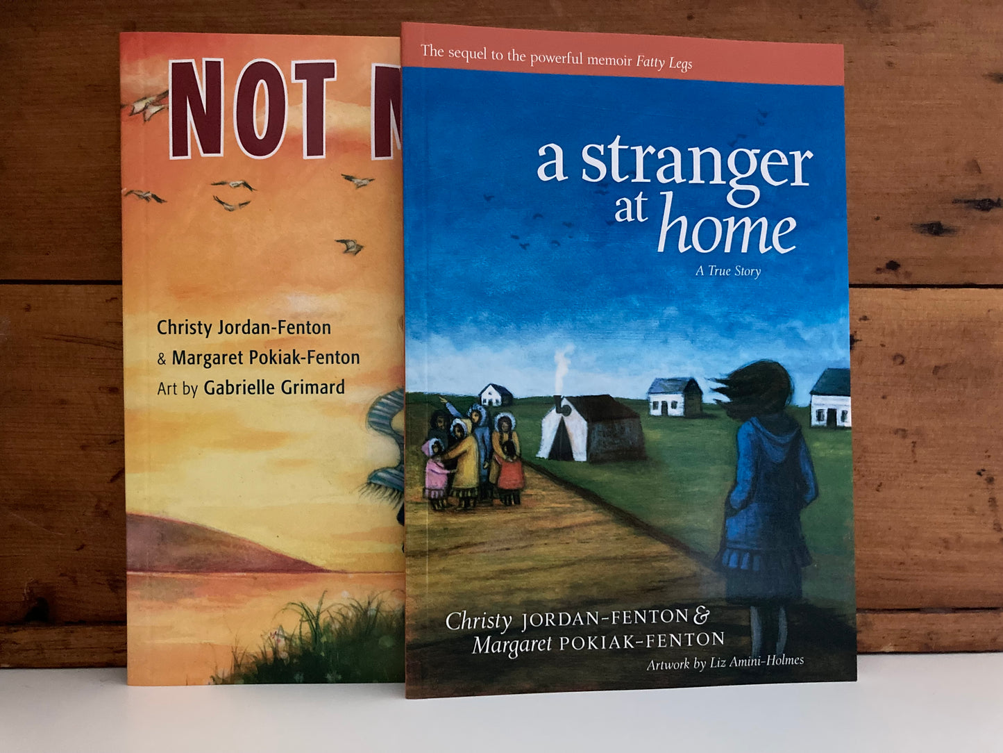 Chapter Books for Older Readers -  A STRANGER AT HOME