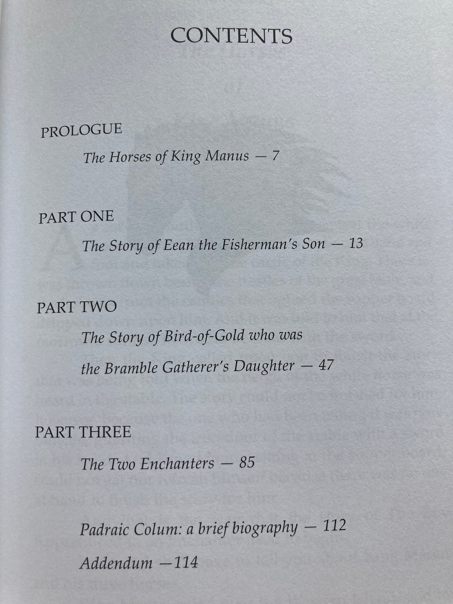 Chapter Books for Older Readers - THE BOY APPRENTICED TO AN ENCHANTER