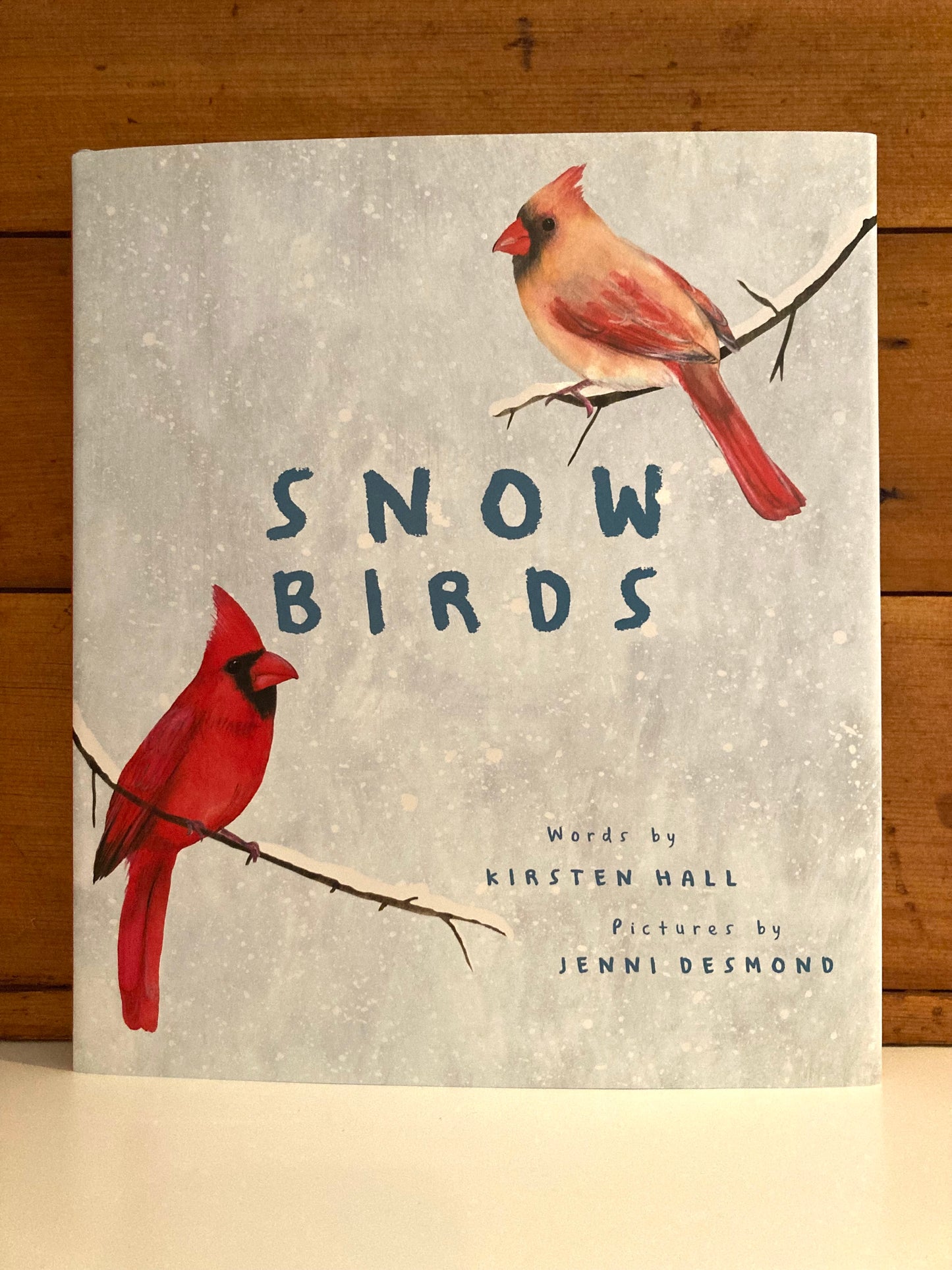 Children’s Picture Book - SNOW BIRDS