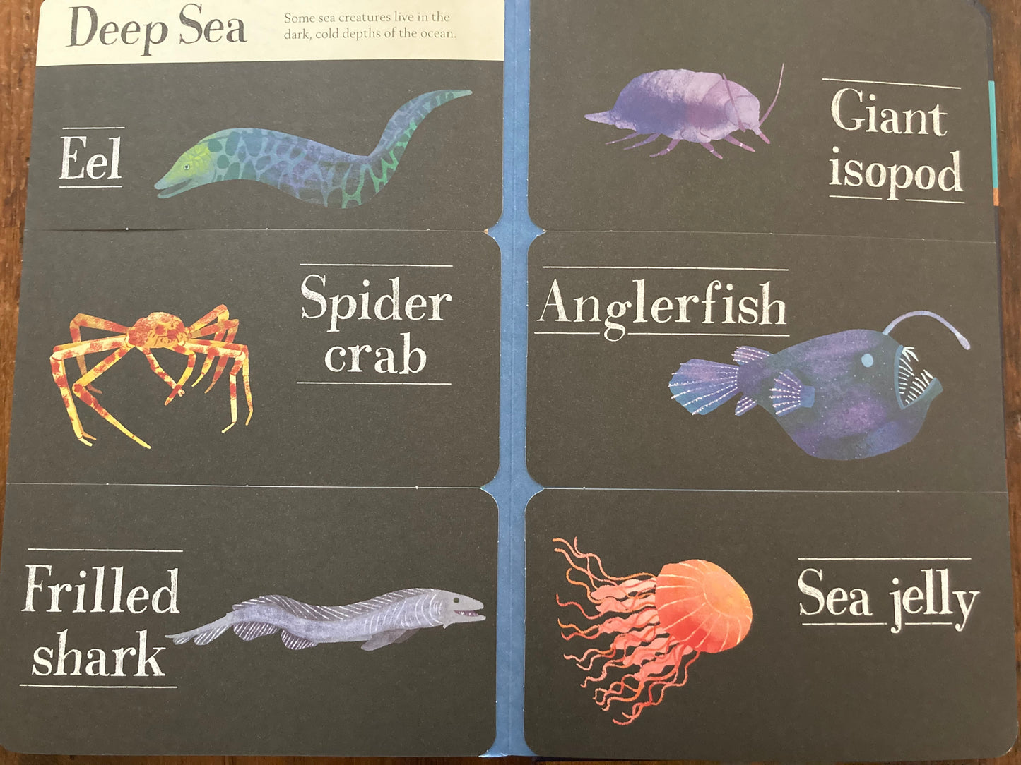 Livre pédagogique - MONDE CACHÉ de l'OCÉAN, avec rabats relevables