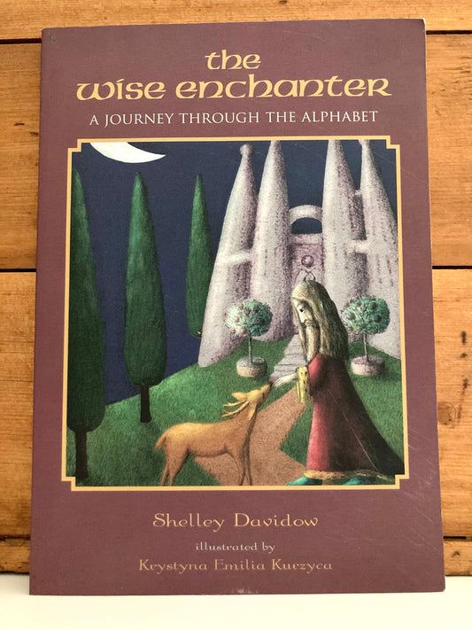 Livre de chapitre éducatif - THE WISE ENCHANTER (Un voyage à travers l'alphabet)