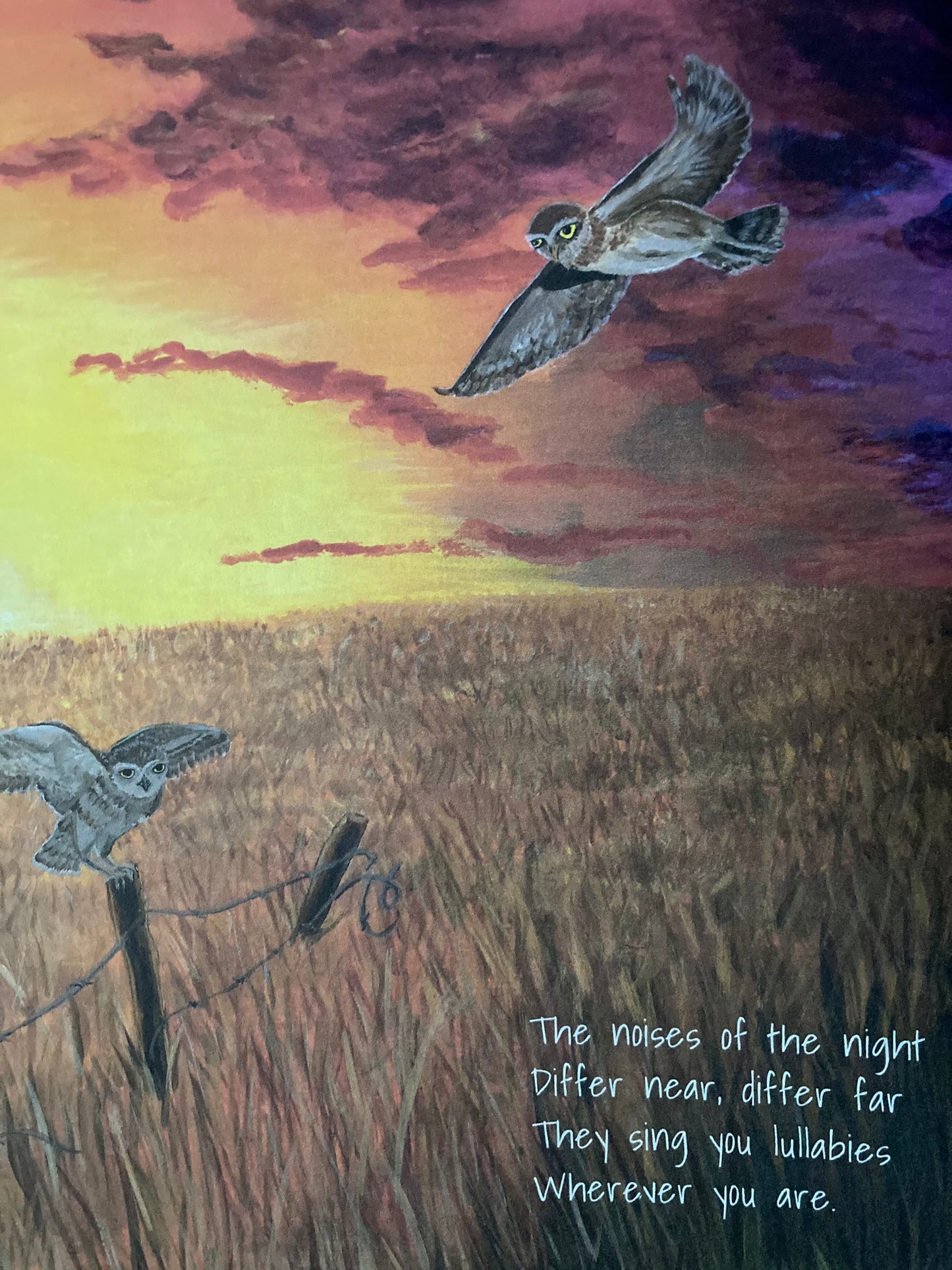 Livre d'images pour enfants - BRUITS de la NUIT