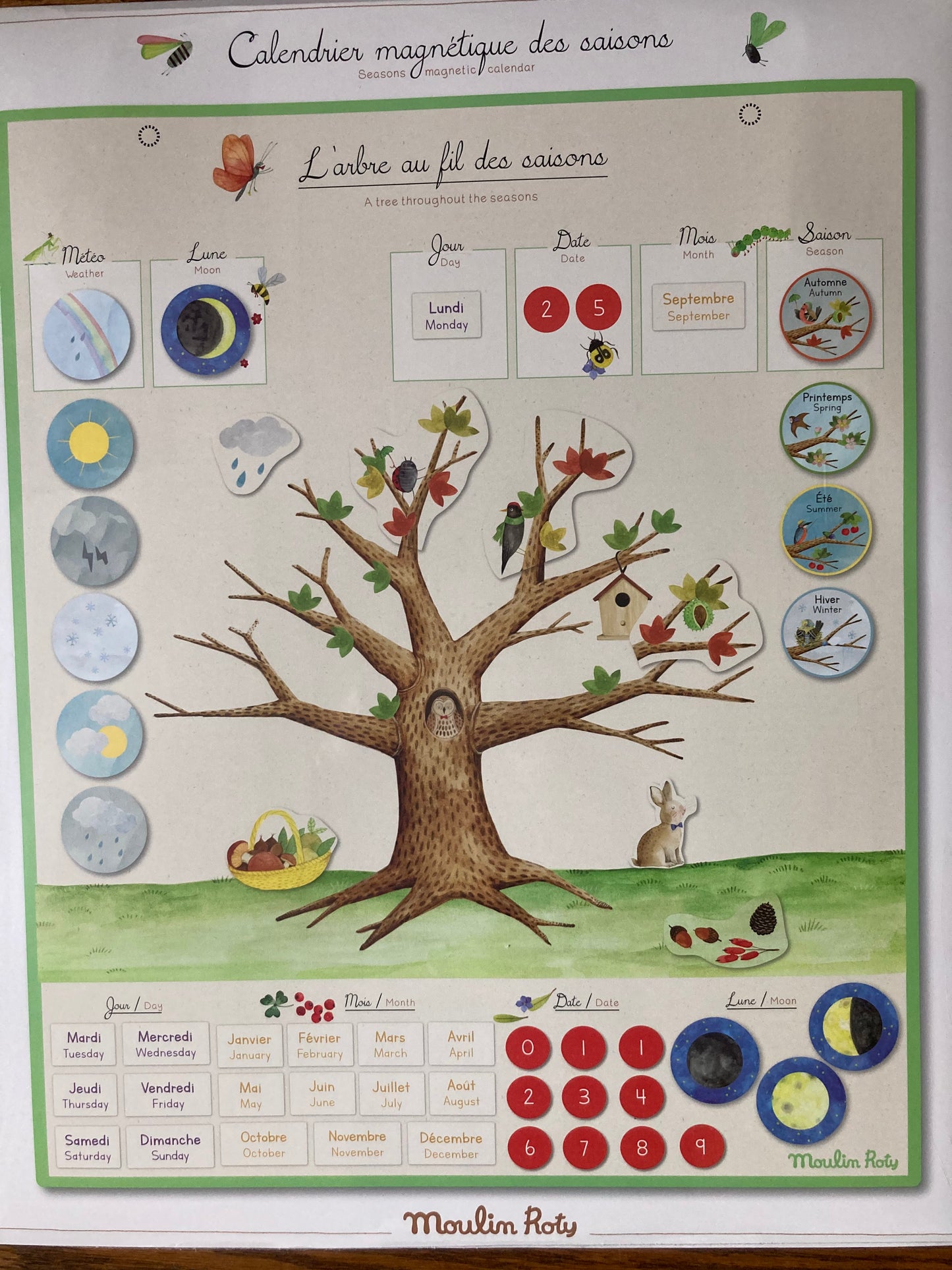 Educational Resource - TREE THROUGHOUT THE SEASONS, a seasonal calendar!