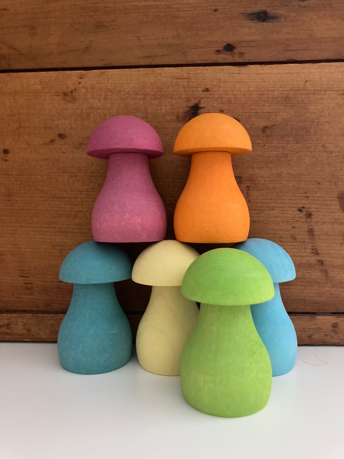Wooden Toy Game - PASTEL MUSHROOMS GAME Set