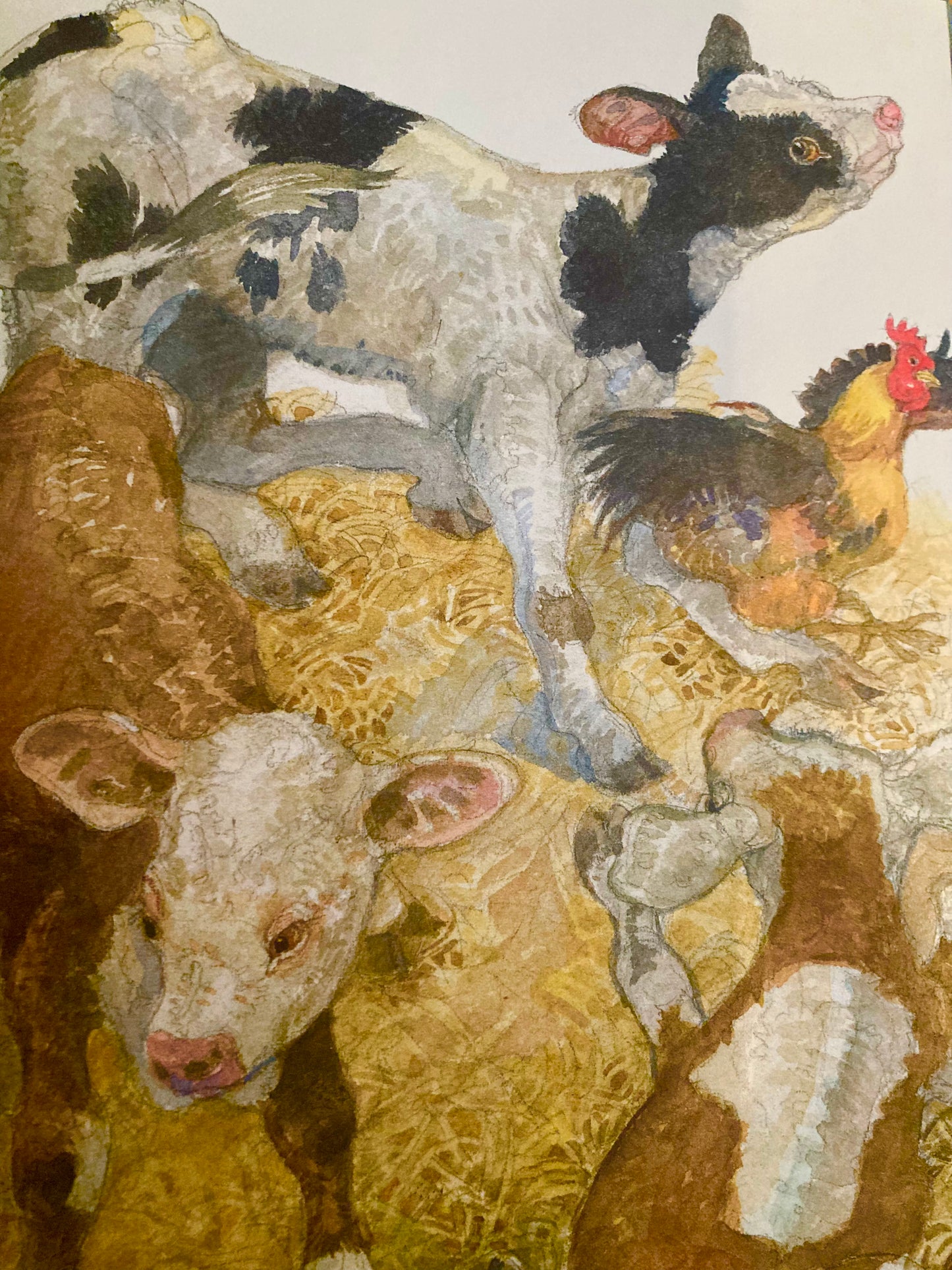 Children’s Picture Book - A HOME IN THE BARN (on SALE!)