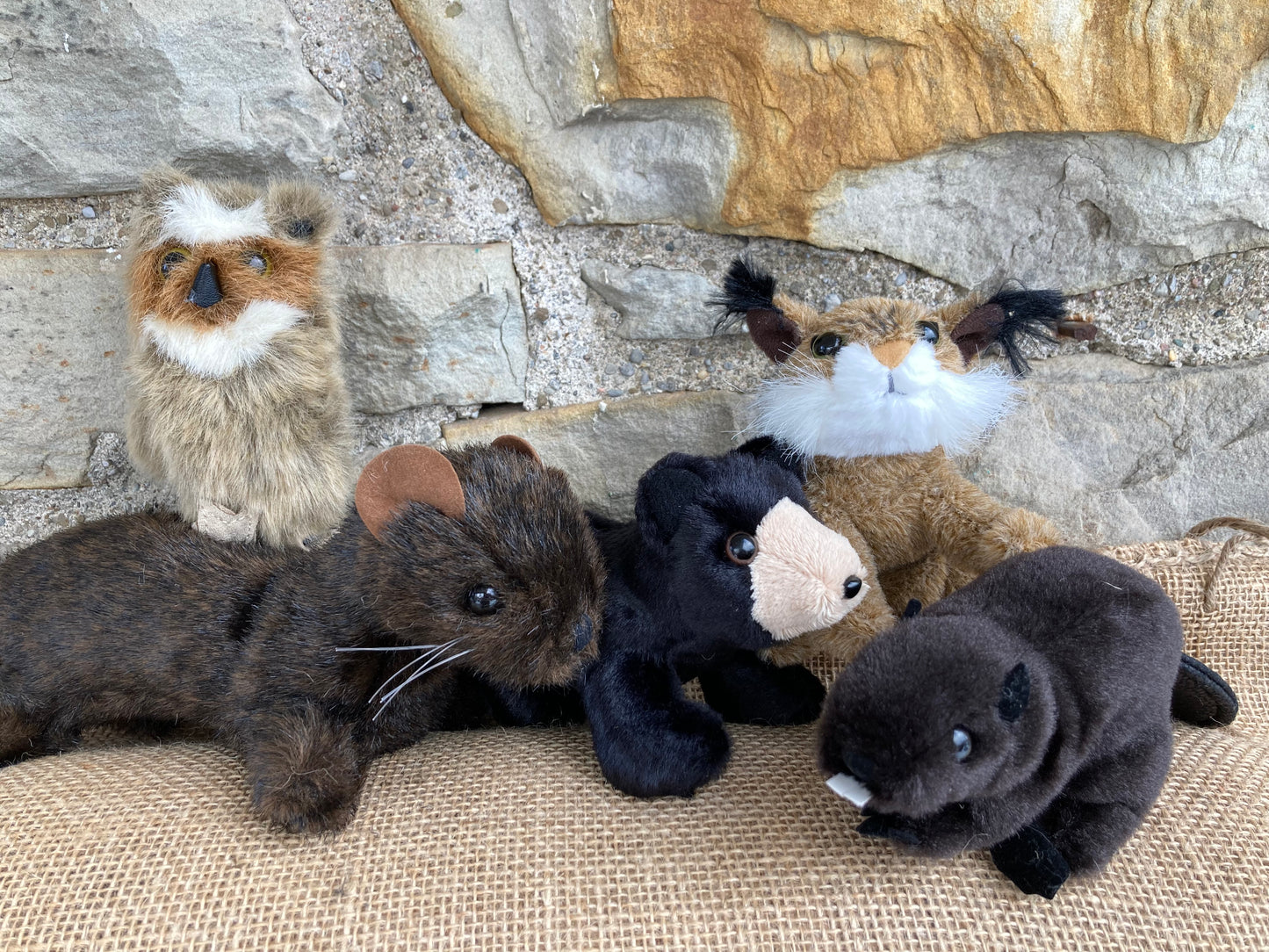Soft Mini Puppet Set - Wild ANIMALS of ATLANTIC MARITIME FORESTS