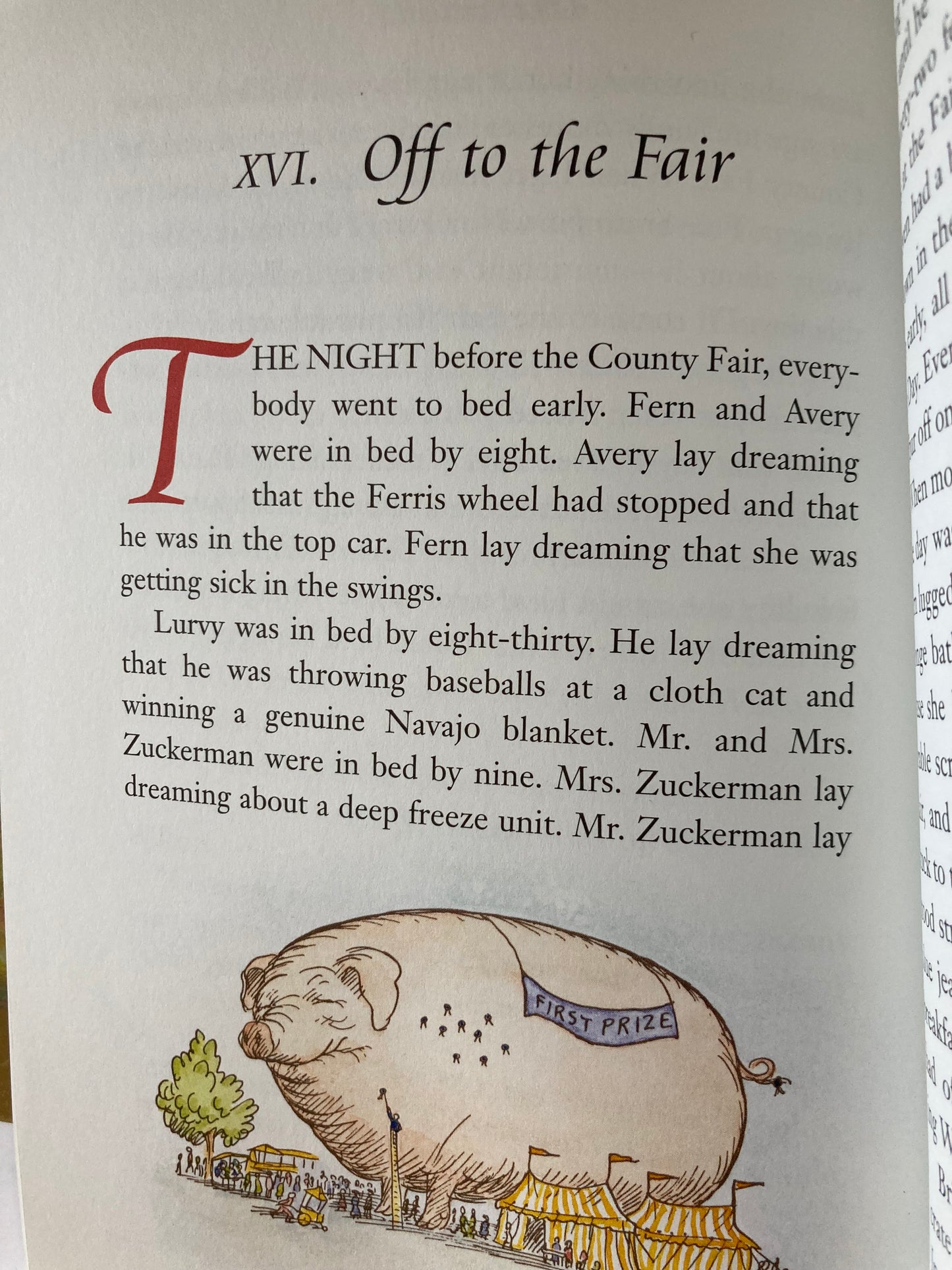 Chapter Book for Young Readers - CHARLOTTE'S WEB... 2 choices!