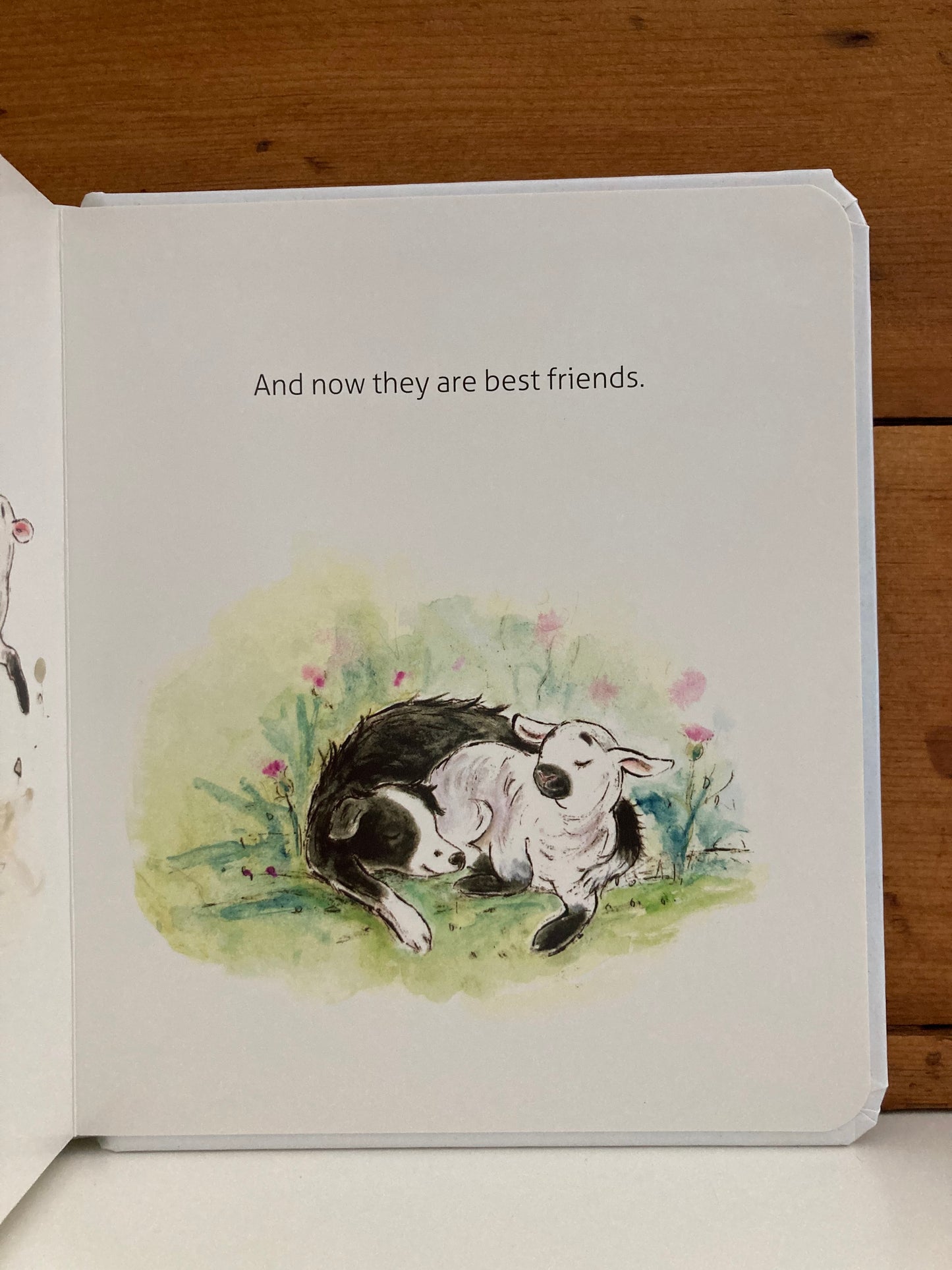 Board Book, Baby - PEG and UAN, MAKING FRIENDS
