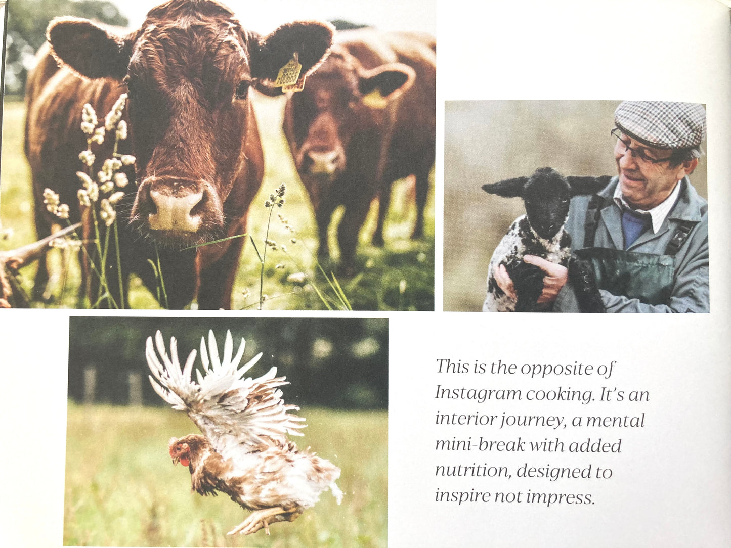 Parenting Resource Book - PIPER’S FARM COOKBOOK, Recipes & Wisdom