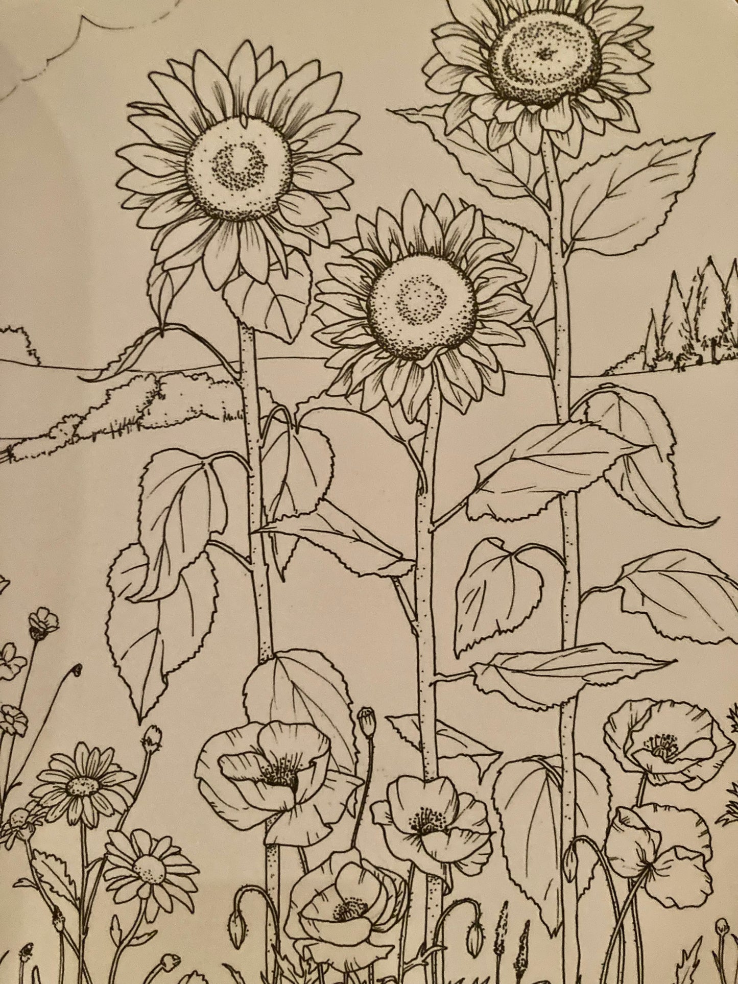Art Activity Set - "TO THE GARDEN" Colouring Book & More!