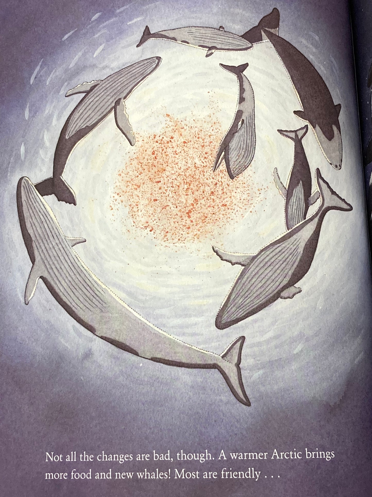 Educational Children's Picture Book - THE WHALE WHO SWAM THROUGH TIME
