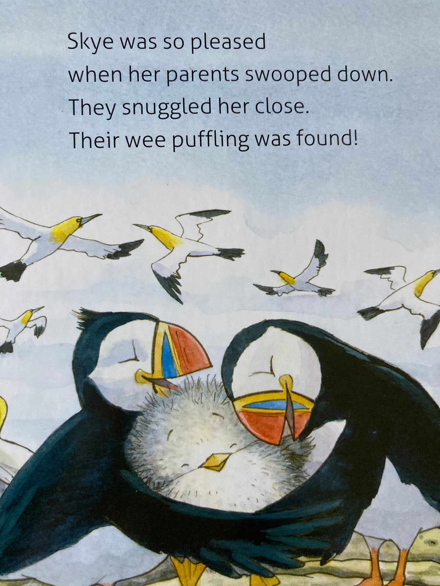 Board Book, Baby - SKYE THE PUFFLING