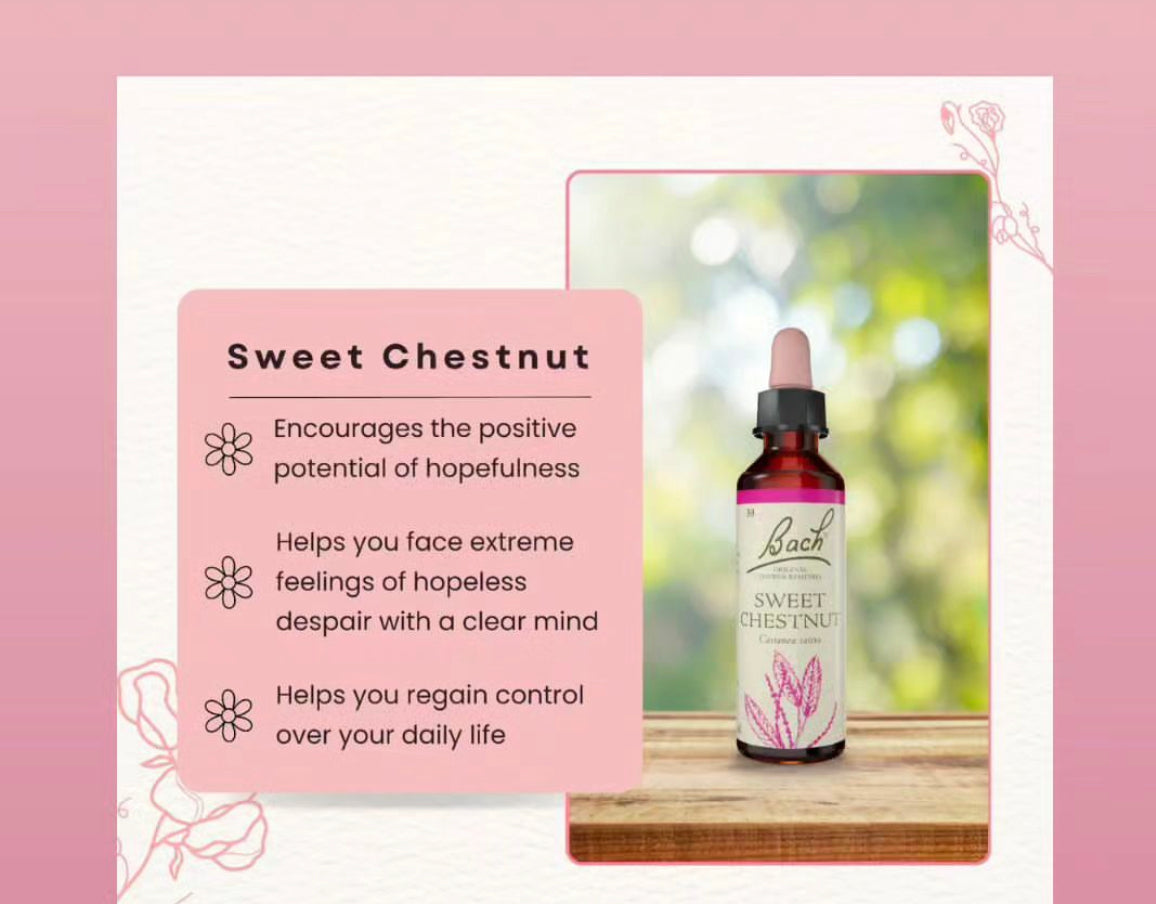 Bach Holistic Flower Remedies - SWEET CHESTNUT