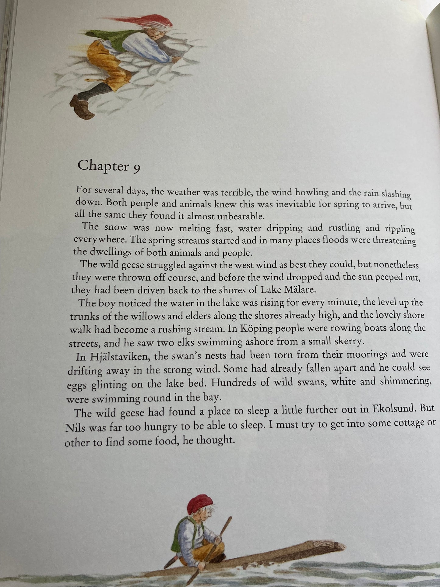 Children's Chapter Picture Book - THE WONDERFUL ADVENTURES OF NILS