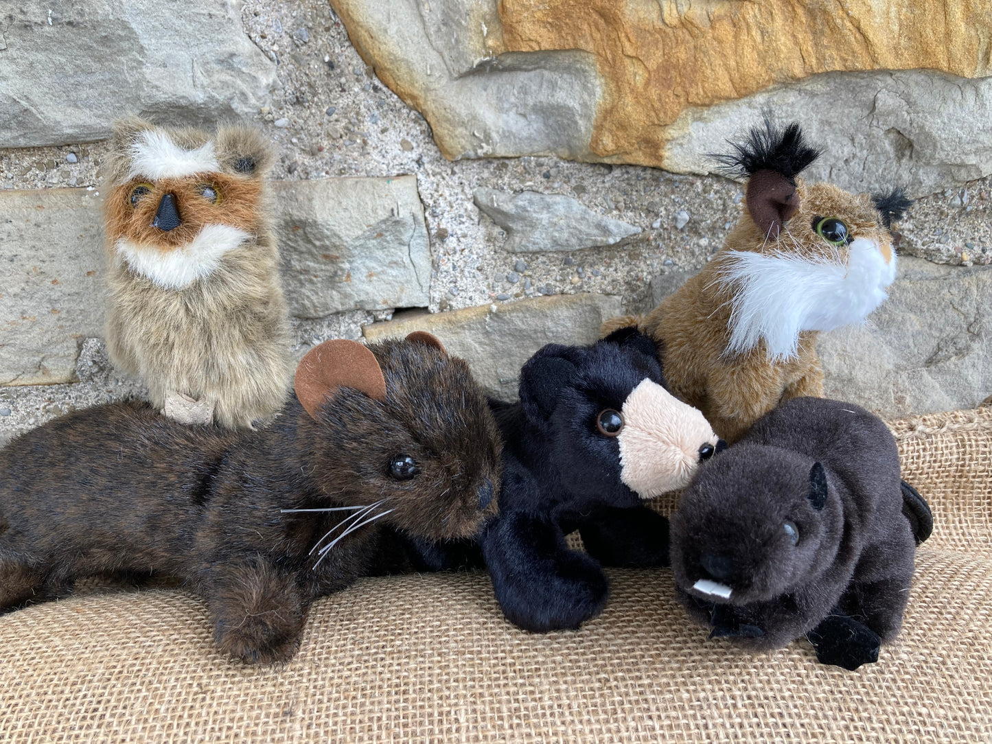 Soft Mini Puppet Set - Wild ANIMALS of ATLANTIC MARITIME FORESTS