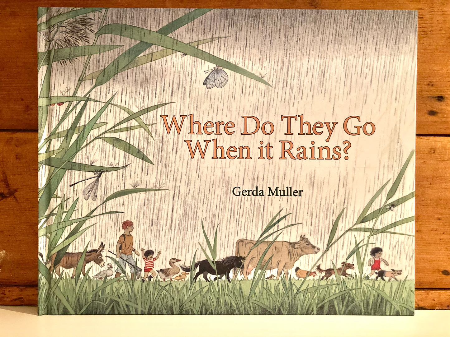 Children's Picture Book - WHERE DO THEY GO WHEN IT RAINS?