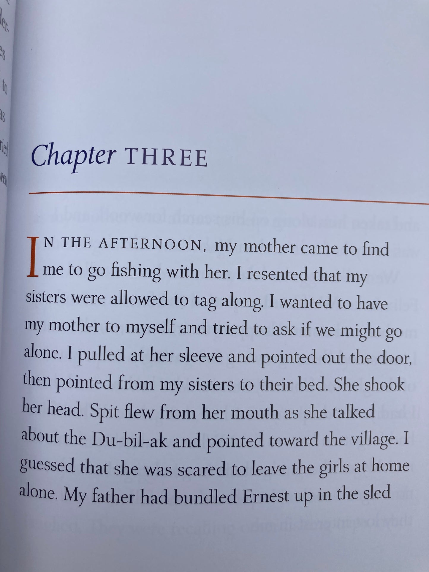 Chapter Books for Older Readers - A STRANGER AT HOME