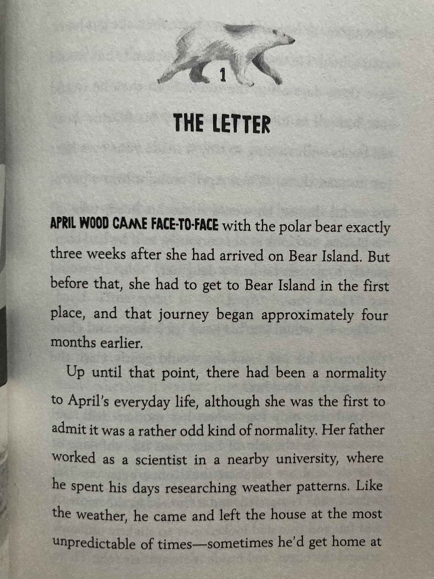 Chapter Book for Young Readers - THE LAST BEAR