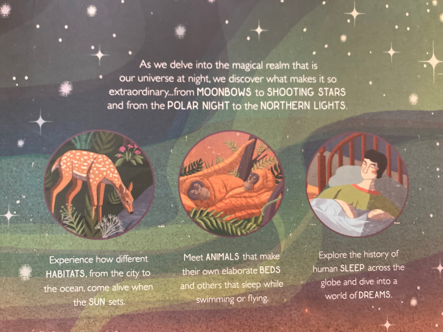 Educational Book - WHEN THE STARS COME OUT