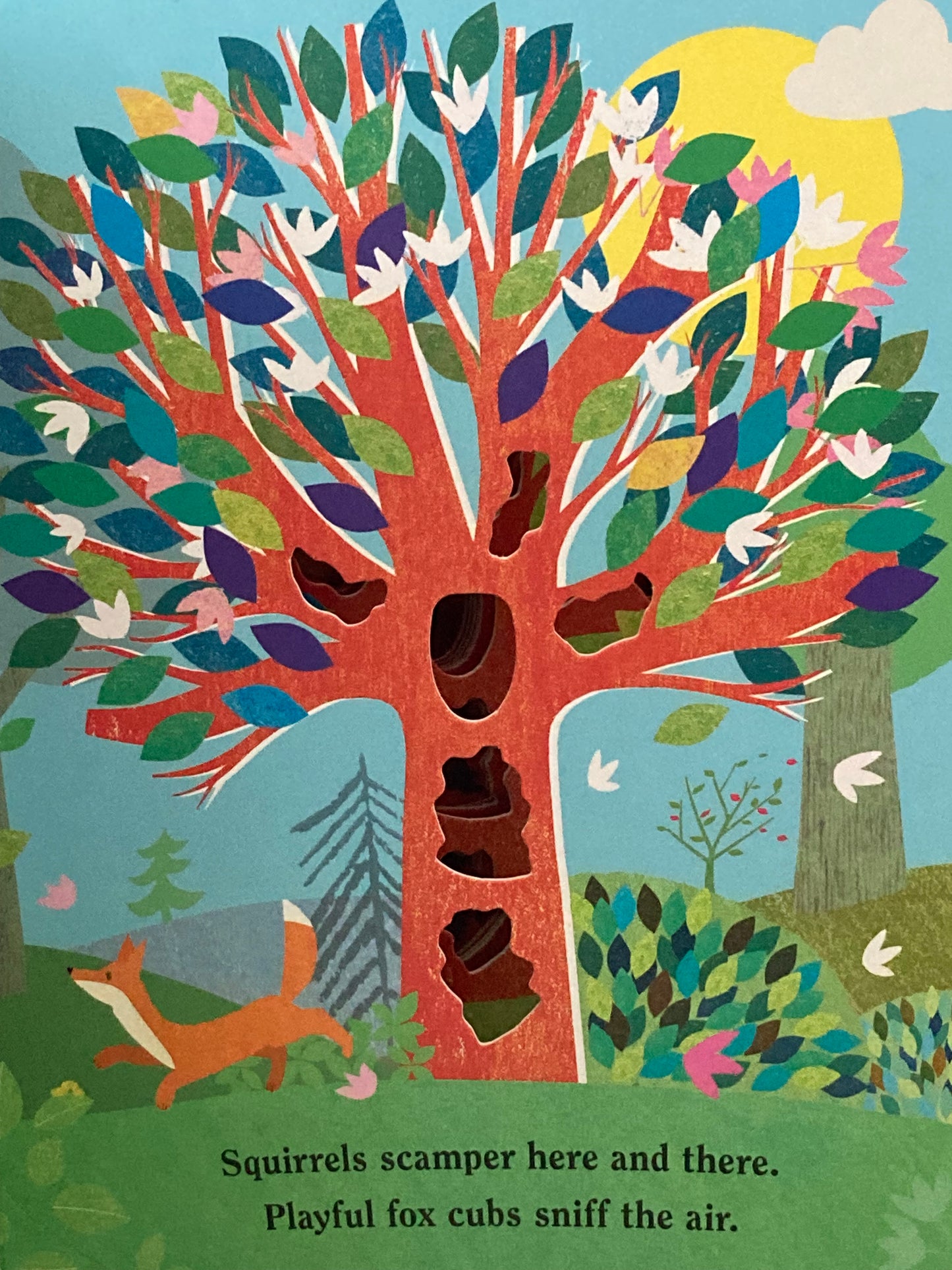 Board Book, Baby - TREE, with cut-outs