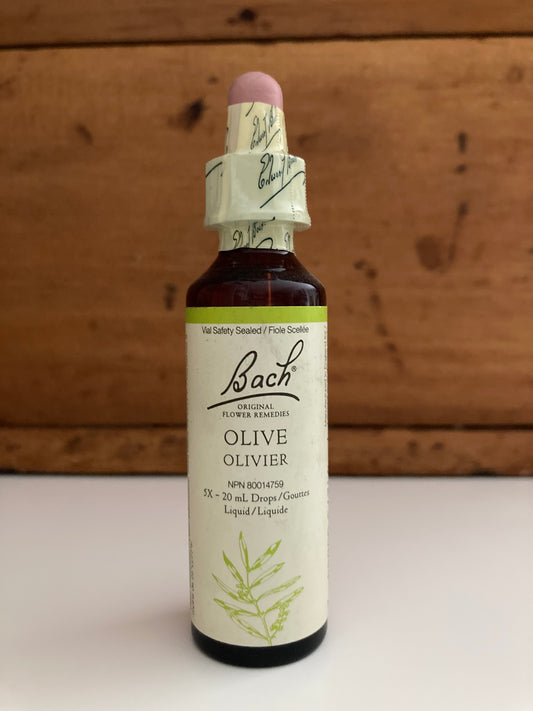 Bach Holistic Flower Remedies - OLIVE