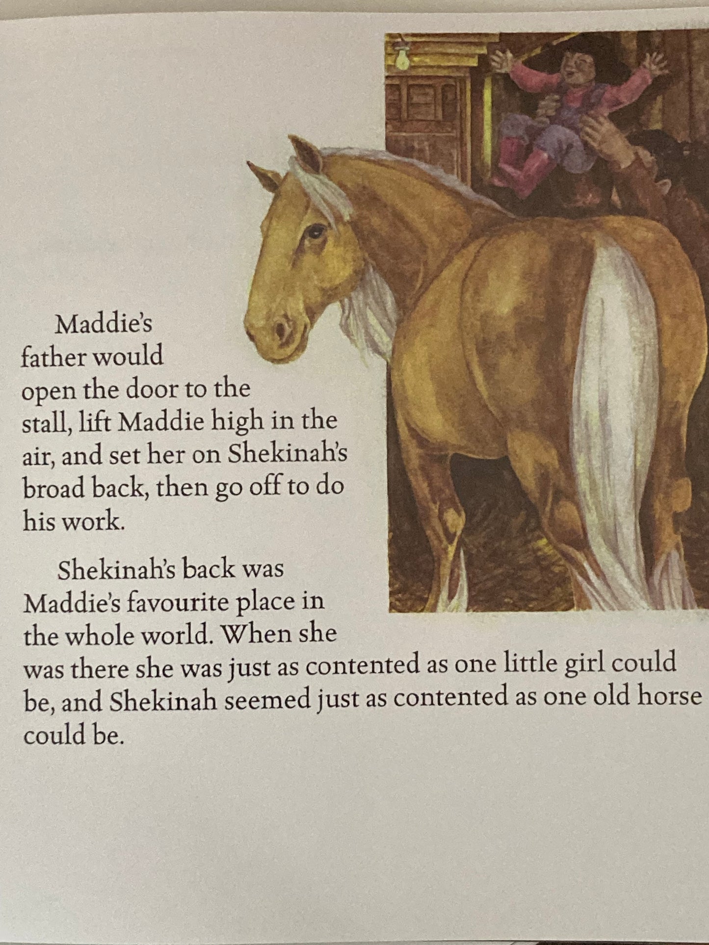 Children’s Picture Book - EVERYTHING THAT SHINES