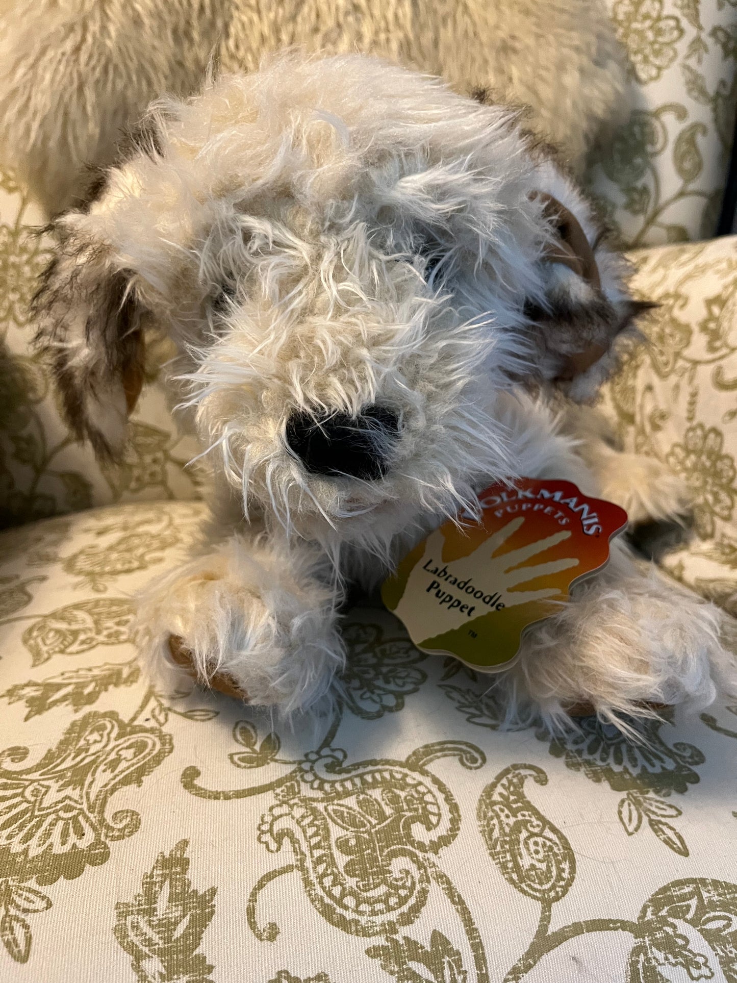 Soft Puppet Pet - LABRADOODLE PUPPY