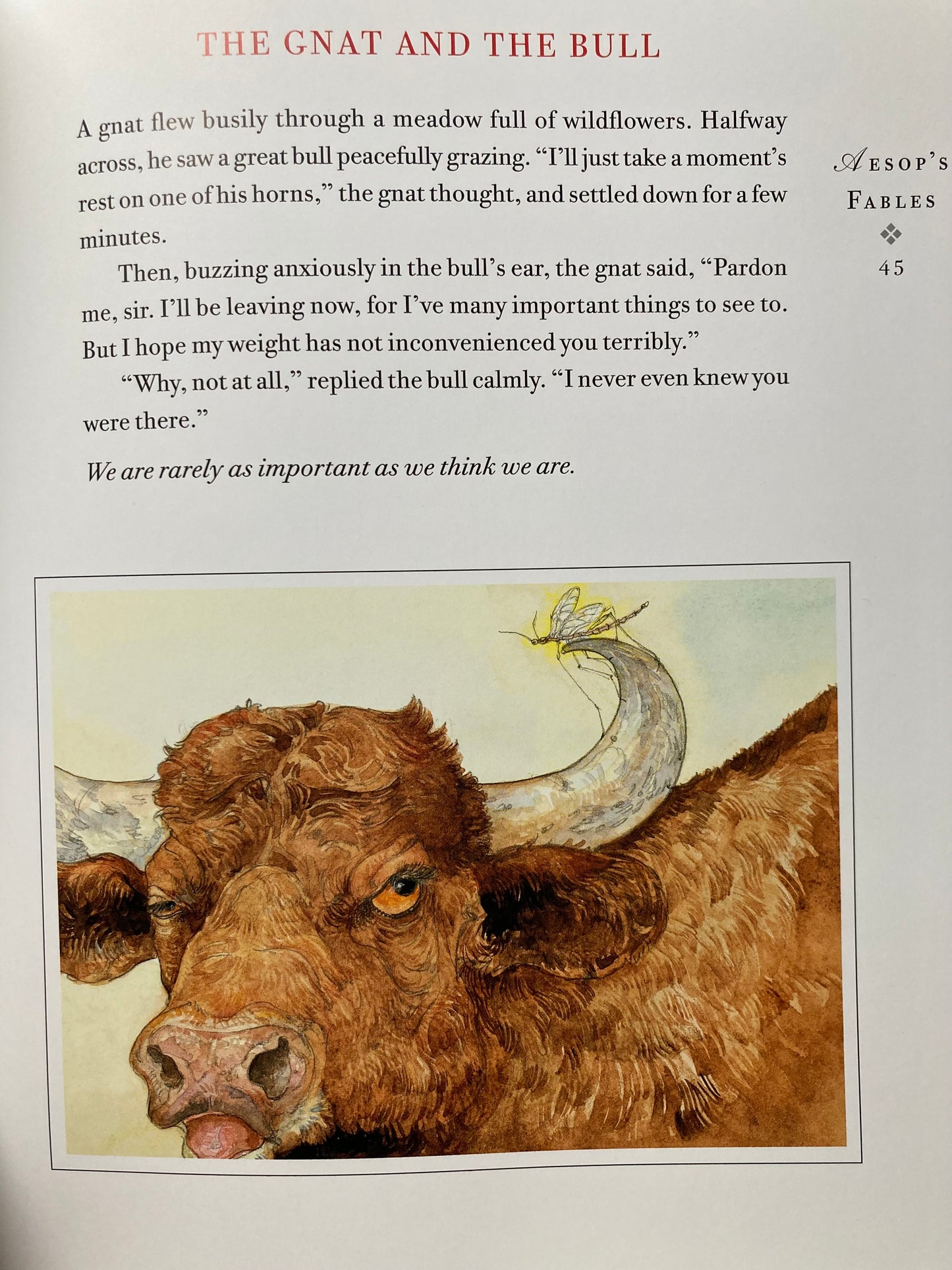 Children's Fables, Folk & Fairy Tales - AESOP'S FABLES