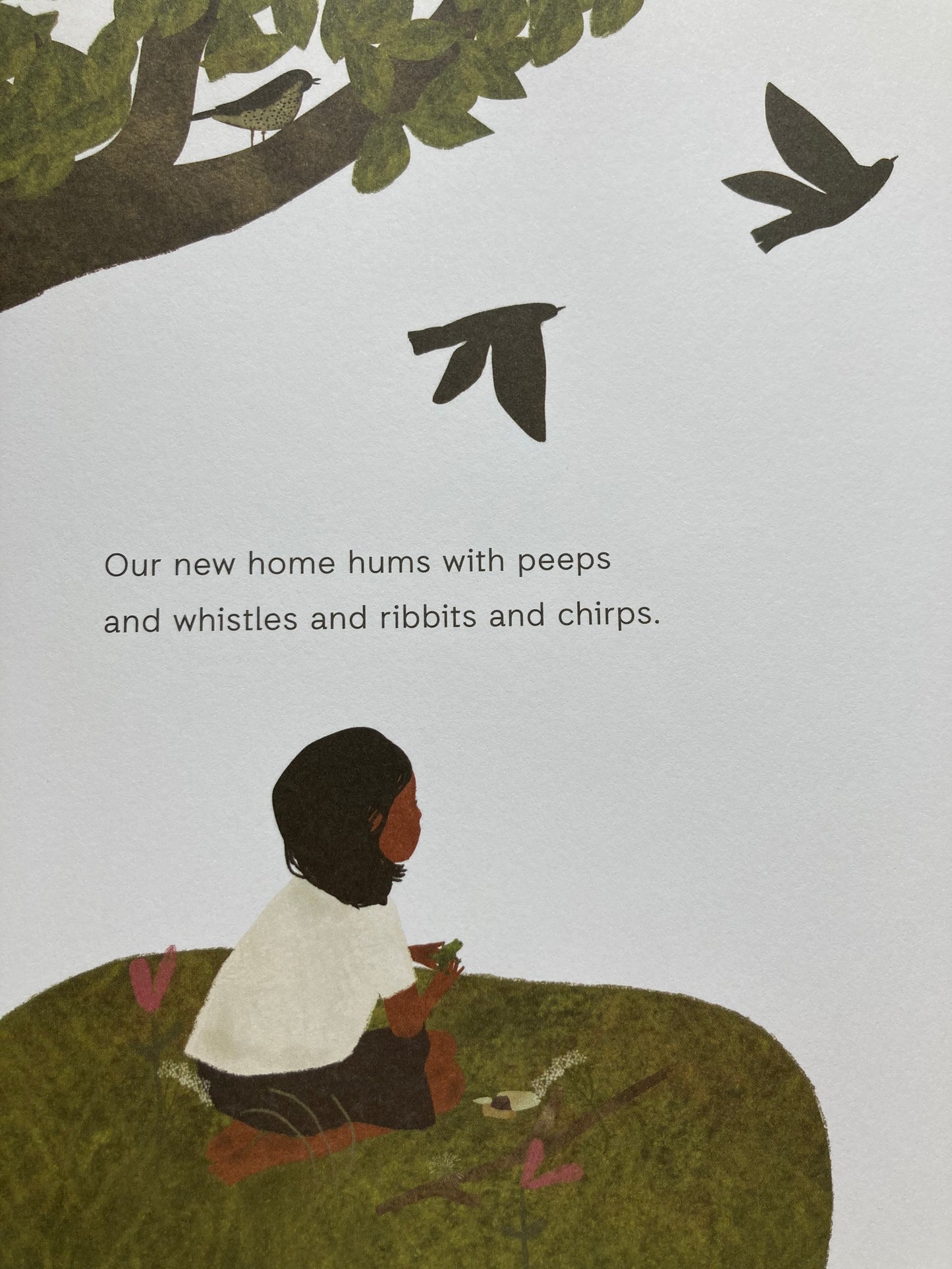 Children’s Picture Book - BIRDSONG