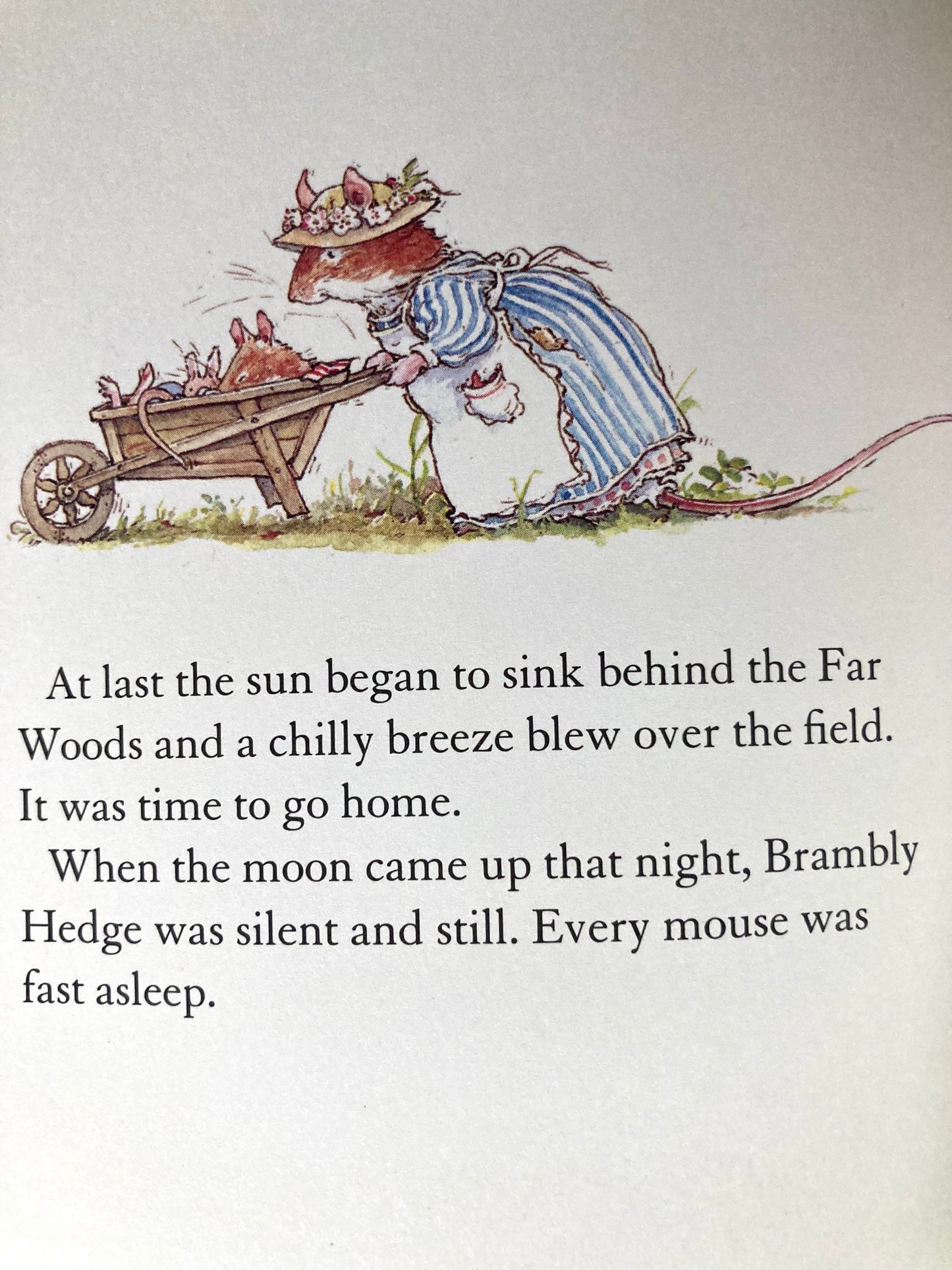 Livre d'images pour enfants - HISTOIRE PRINTANIÈRE DES SOURIS DE BRAMBLY HEDGE