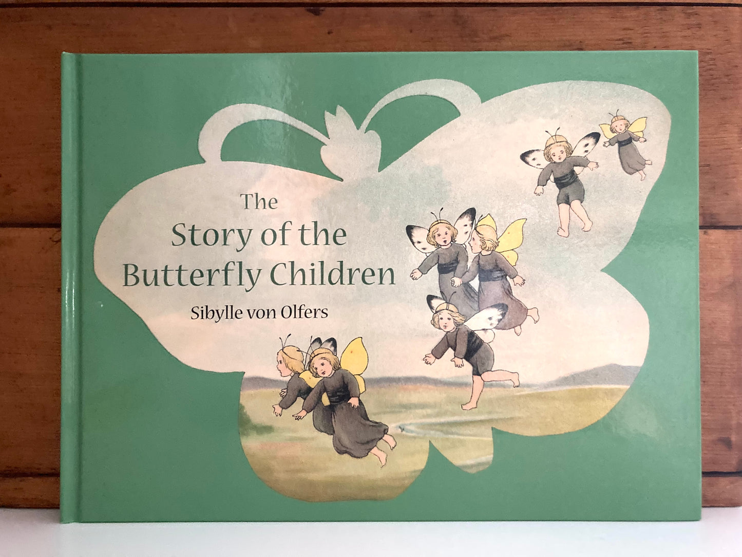 Children’s Picture Book - THE STORY OF THE BUTTERFLY CHILDREN