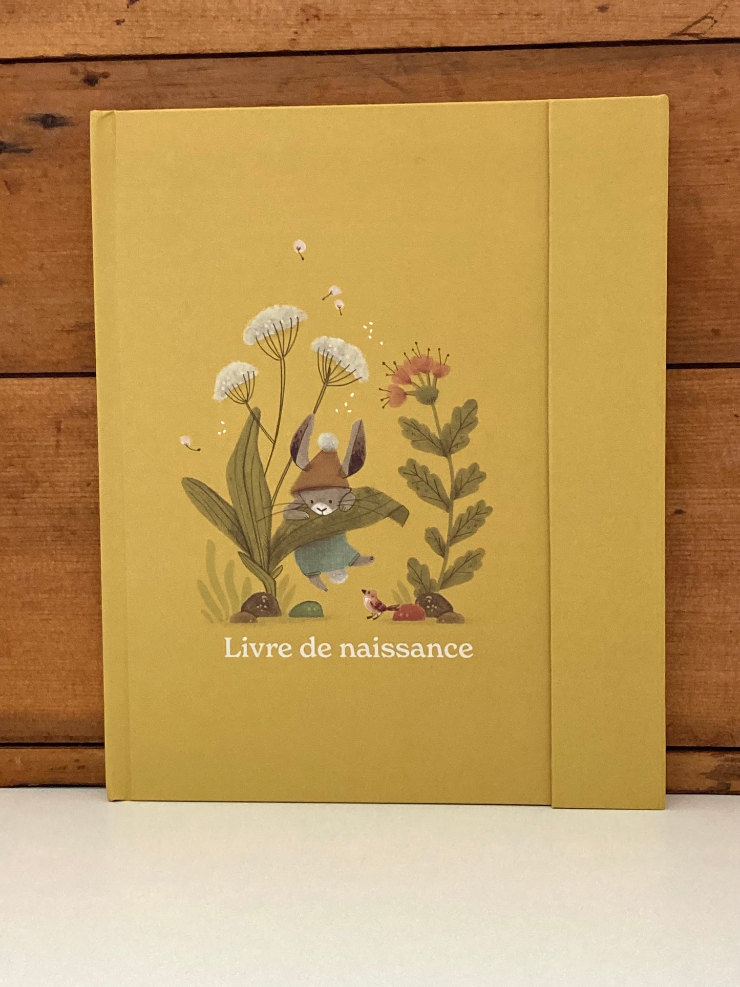 Baby Memory Book - LIVRE DE NAISSANCE … en français!