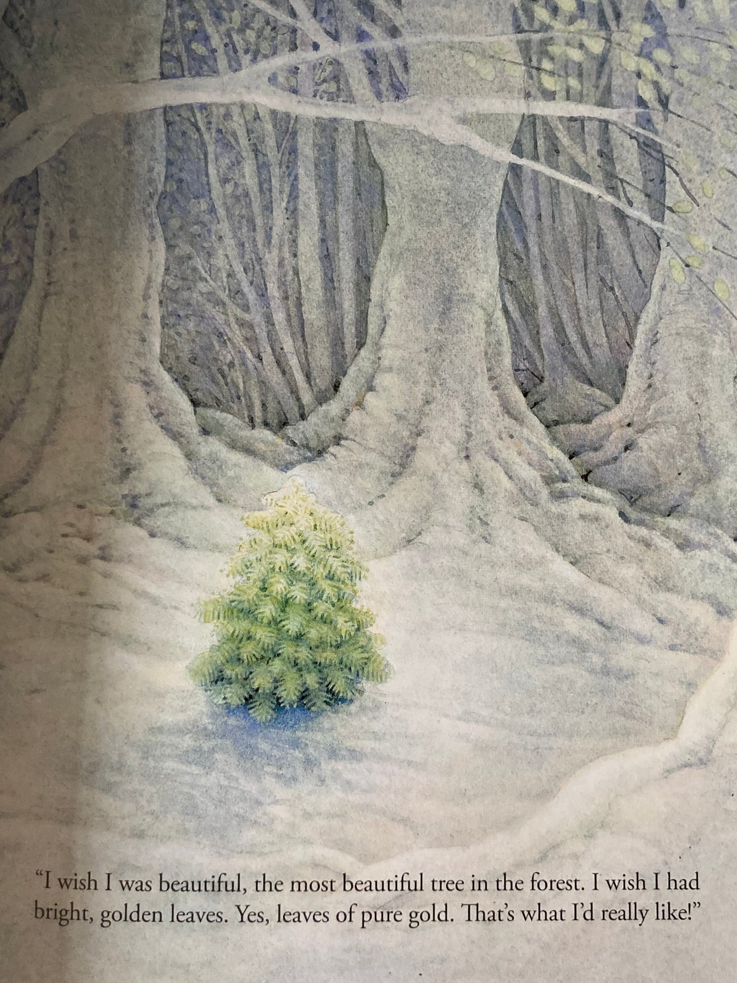 Children’s Picture Book - THE LITTLE CHRISTMAS TREE