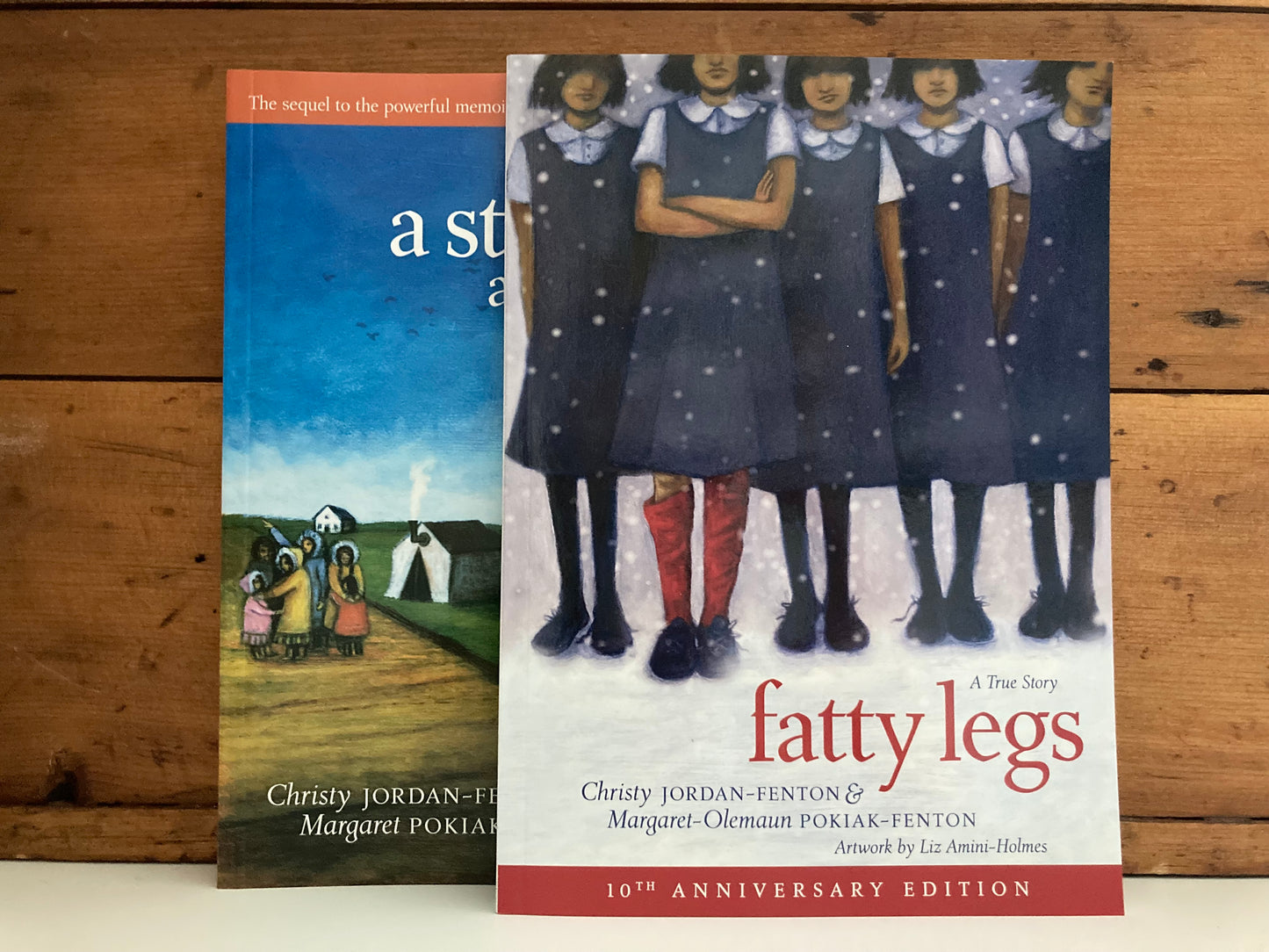 Chapter Books for Older Readers - A STRANGER AT HOME
