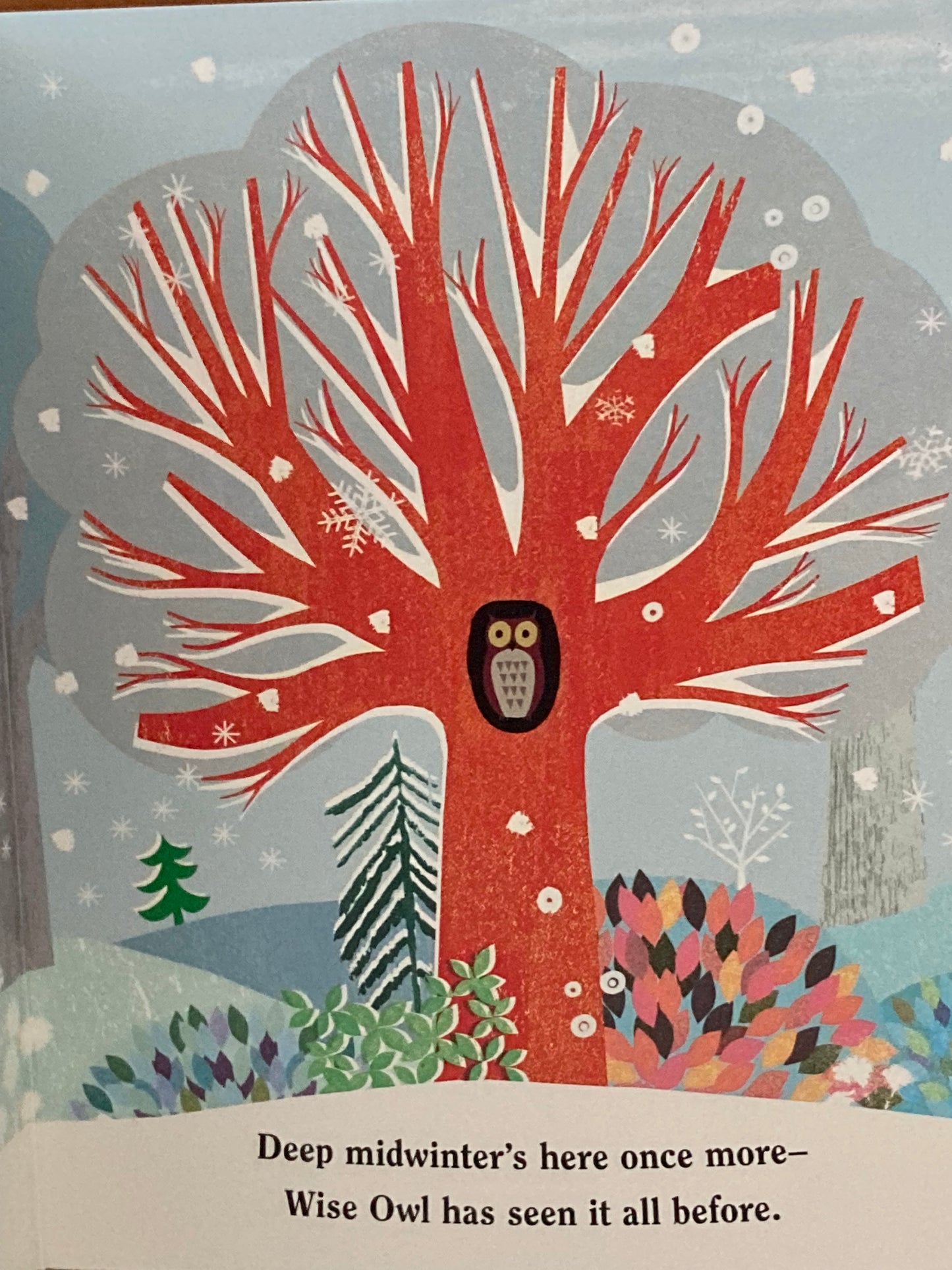 Board Book, Baby - TREE, with cut-outs