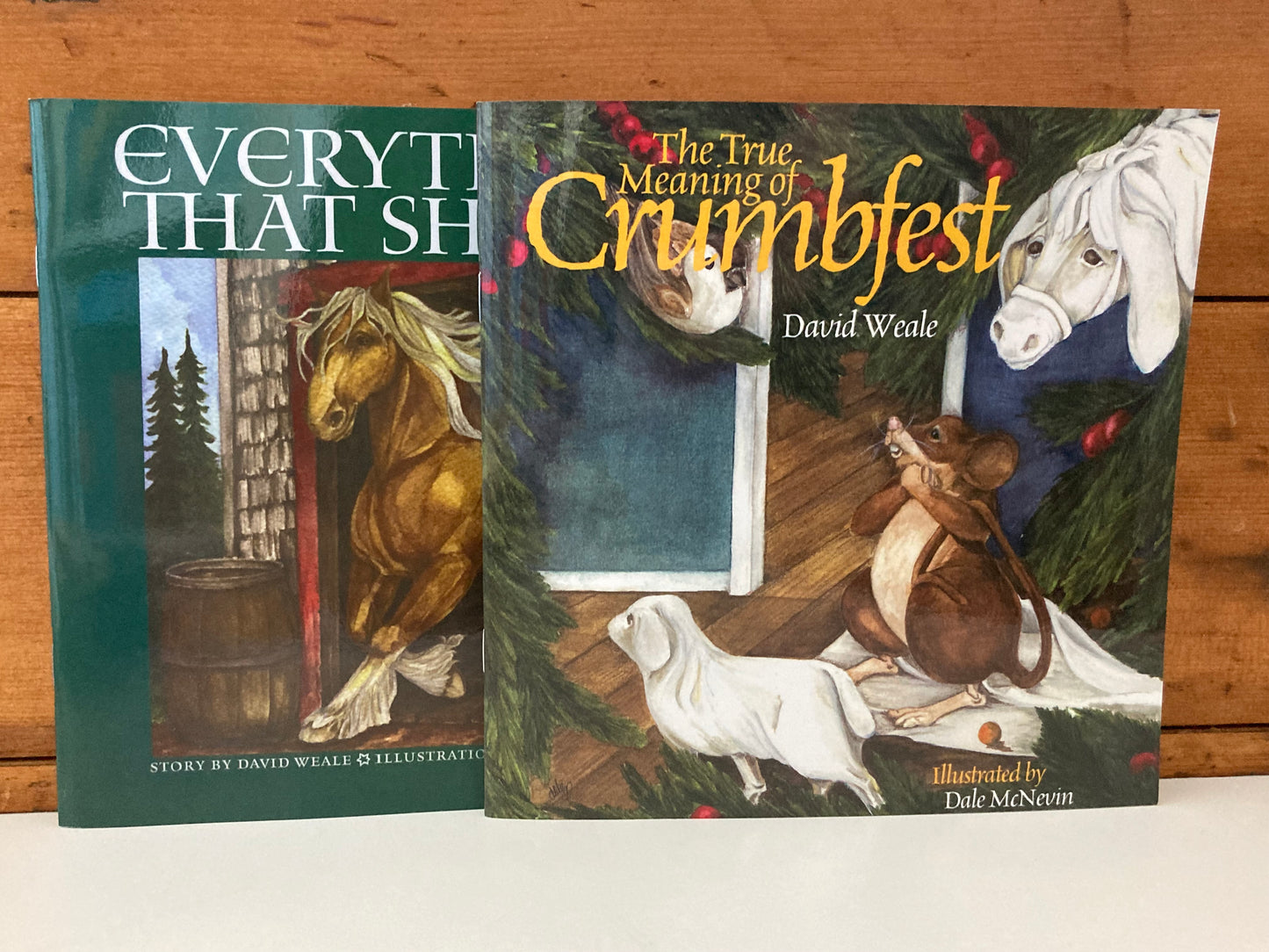 Children’s Picture Book - EVERYTHING THAT SHINES