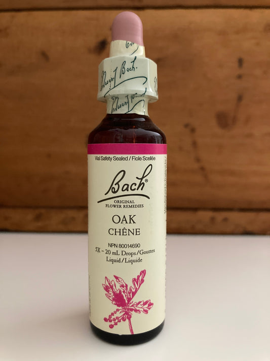 Bach Holistic Flower Remedies - OAK