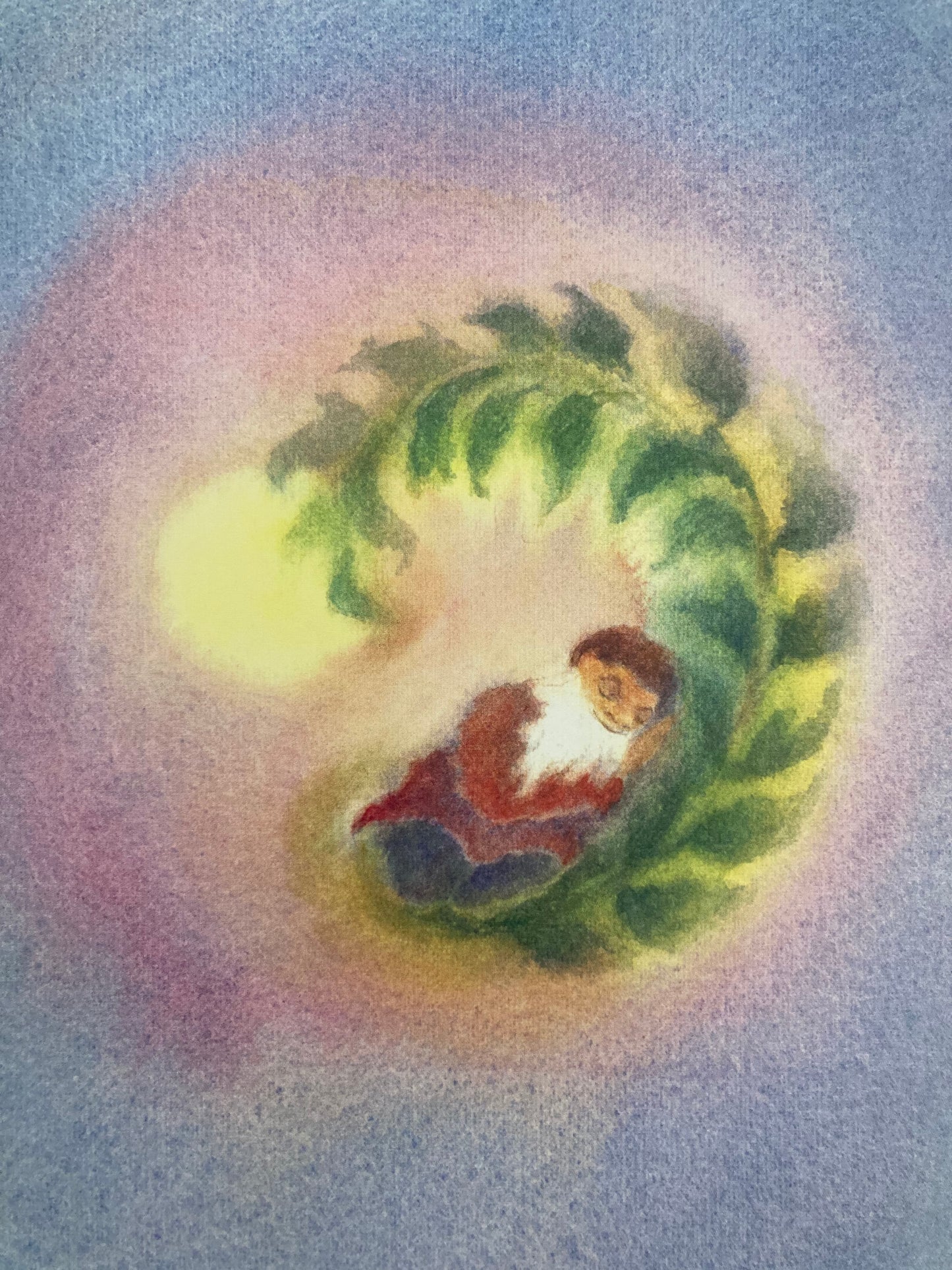 Livre d'images pour enfants, lecteur précoce - PICO LE GNOME