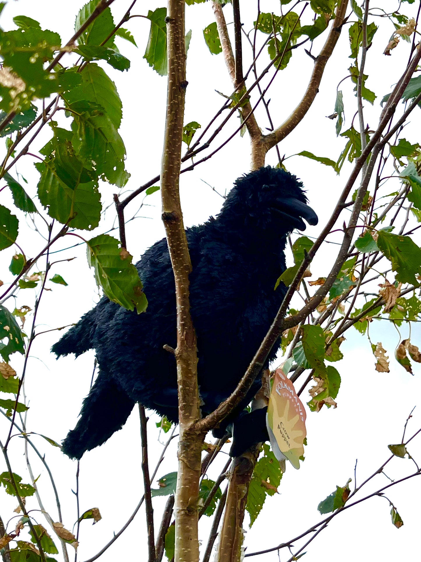 Soft Puppet Toy - Black CROW (RAVEN)🐦‍⬛ Hand Puppet, Large