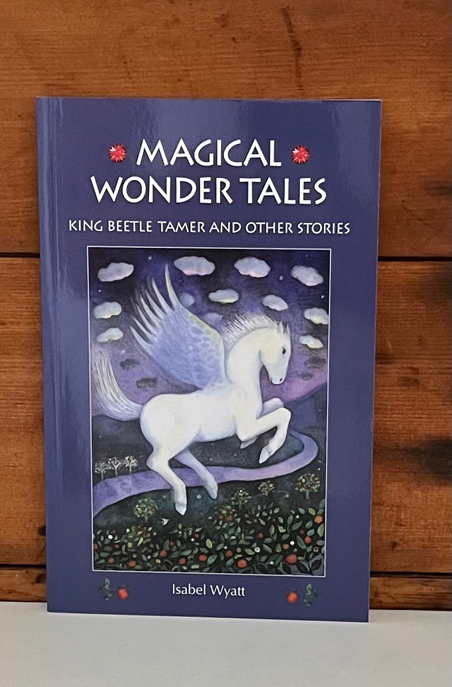 Children's Chapter Books - MAGICAL WONDER TALES