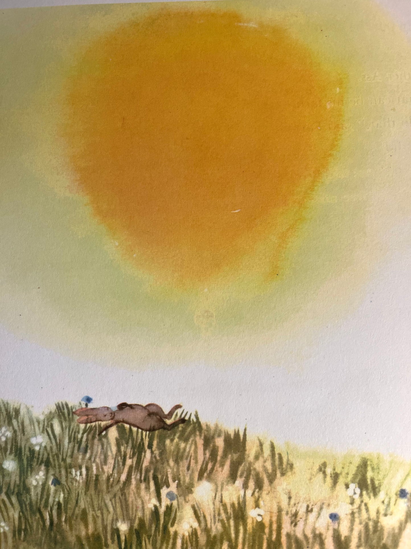 Early Reader Picture Chapter Book - HAY FOR MY OX 🐂, & other stories