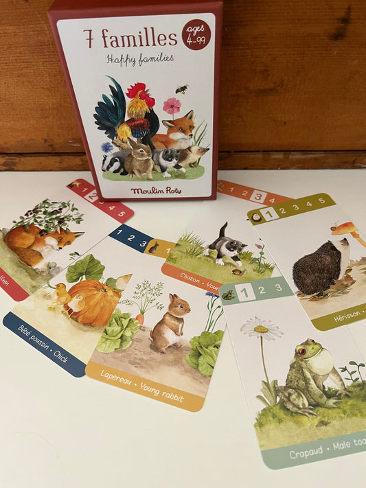 Activity Set - HAPPY FAMILIES, Matching Card Game