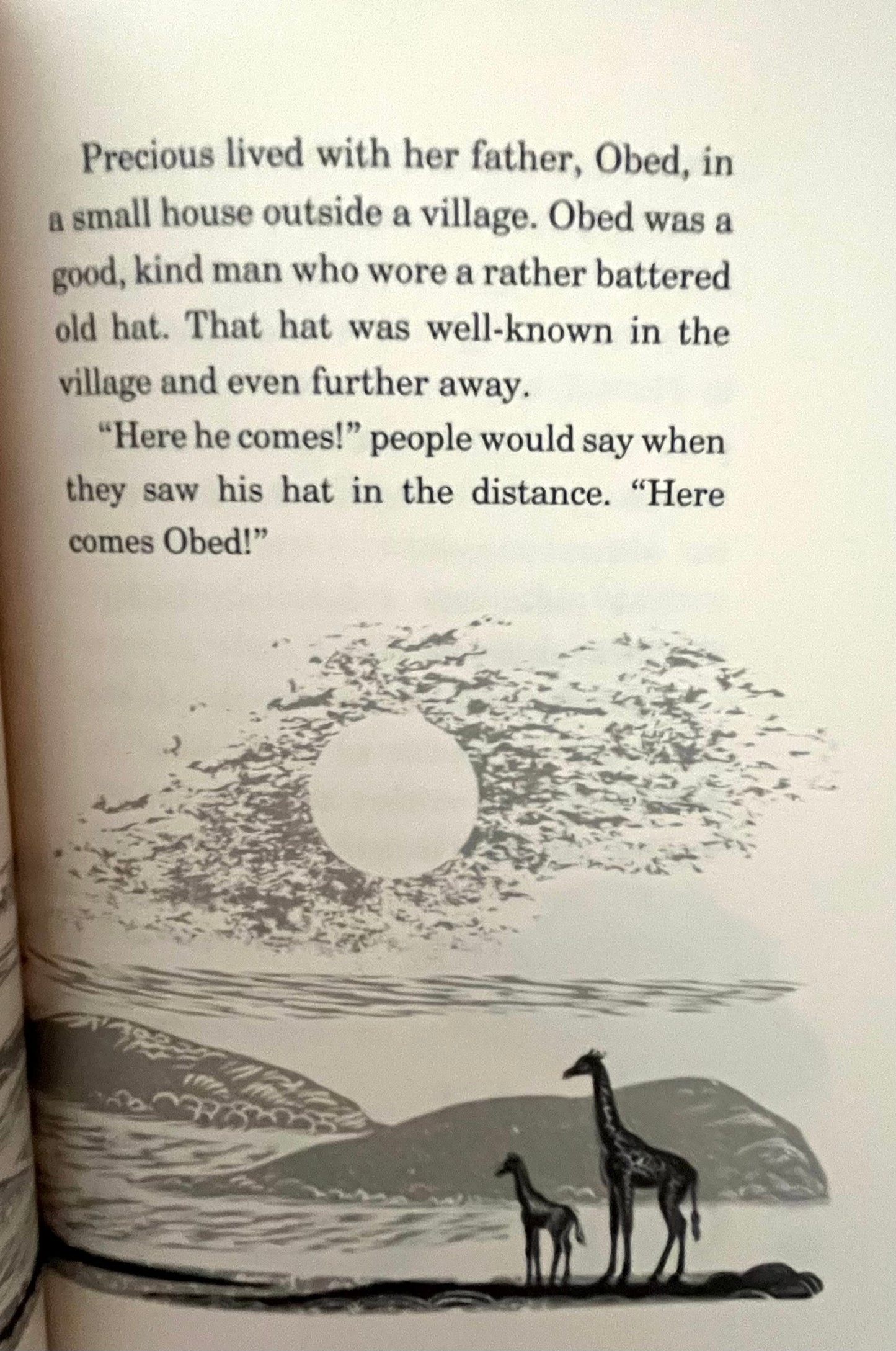 Livres pour enfants - MYSTÈRE SUR MEERKAT HILL 