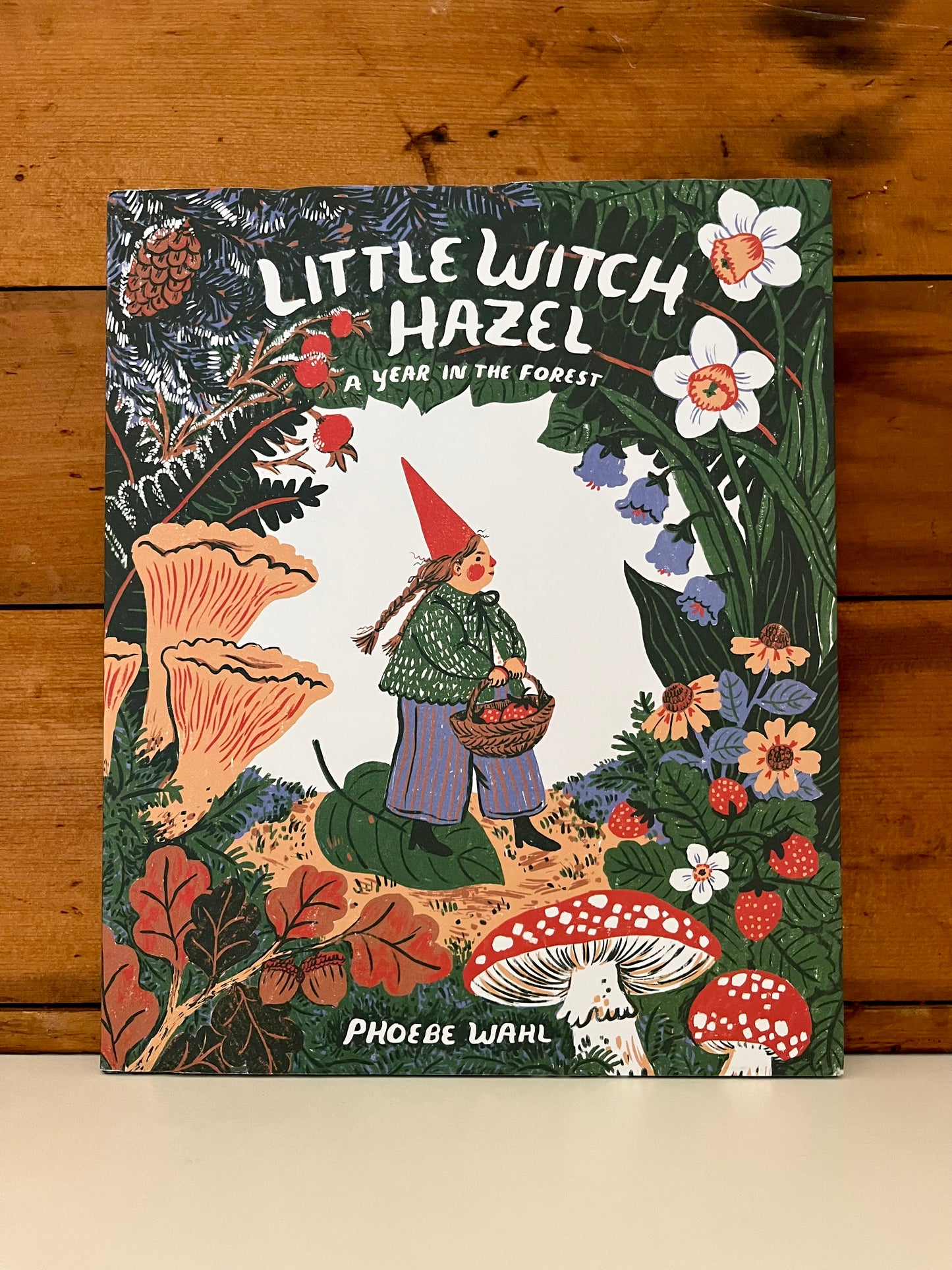 Children's Chapter Picture Book - LITTLE WITCH HAZEL, A Year in the Forest