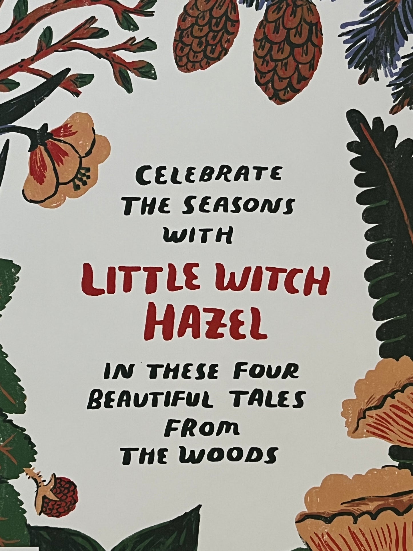 Children's Chapter Picture Book - LITTLE WITCH HAZEL, A Year in the Forest