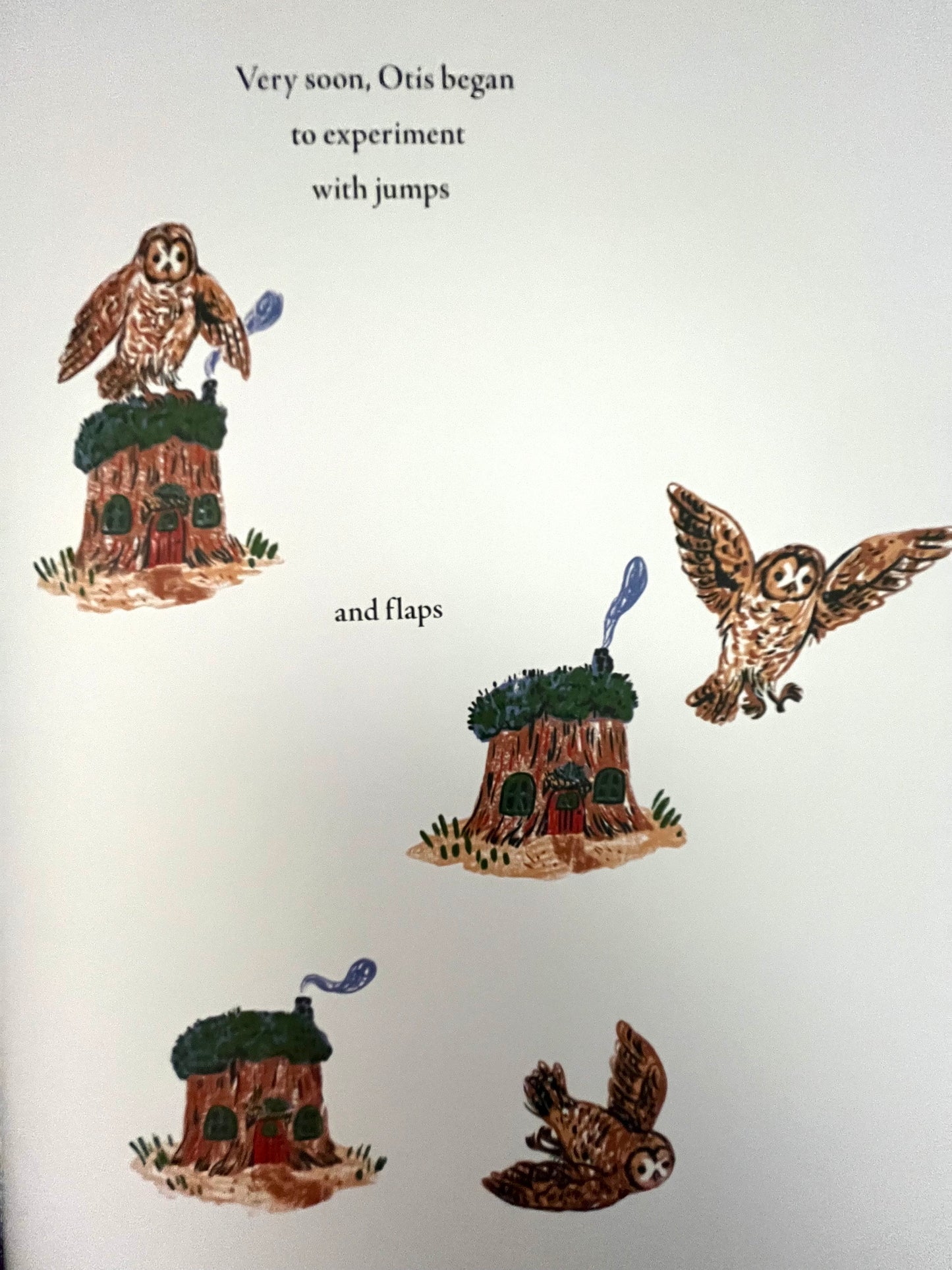 Children's Chapter Picture Book - LITTLE WITCH HAZEL, A Year in the Forest