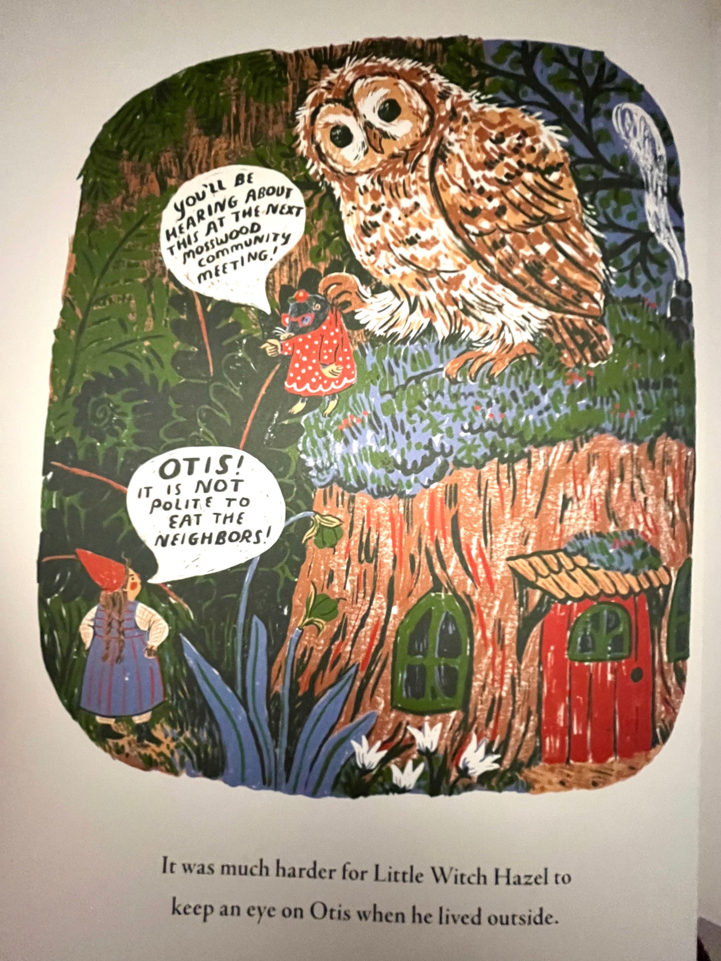 Children's Chapter Picture Book - LITTLE WITCH HAZEL, A Year in the Forest