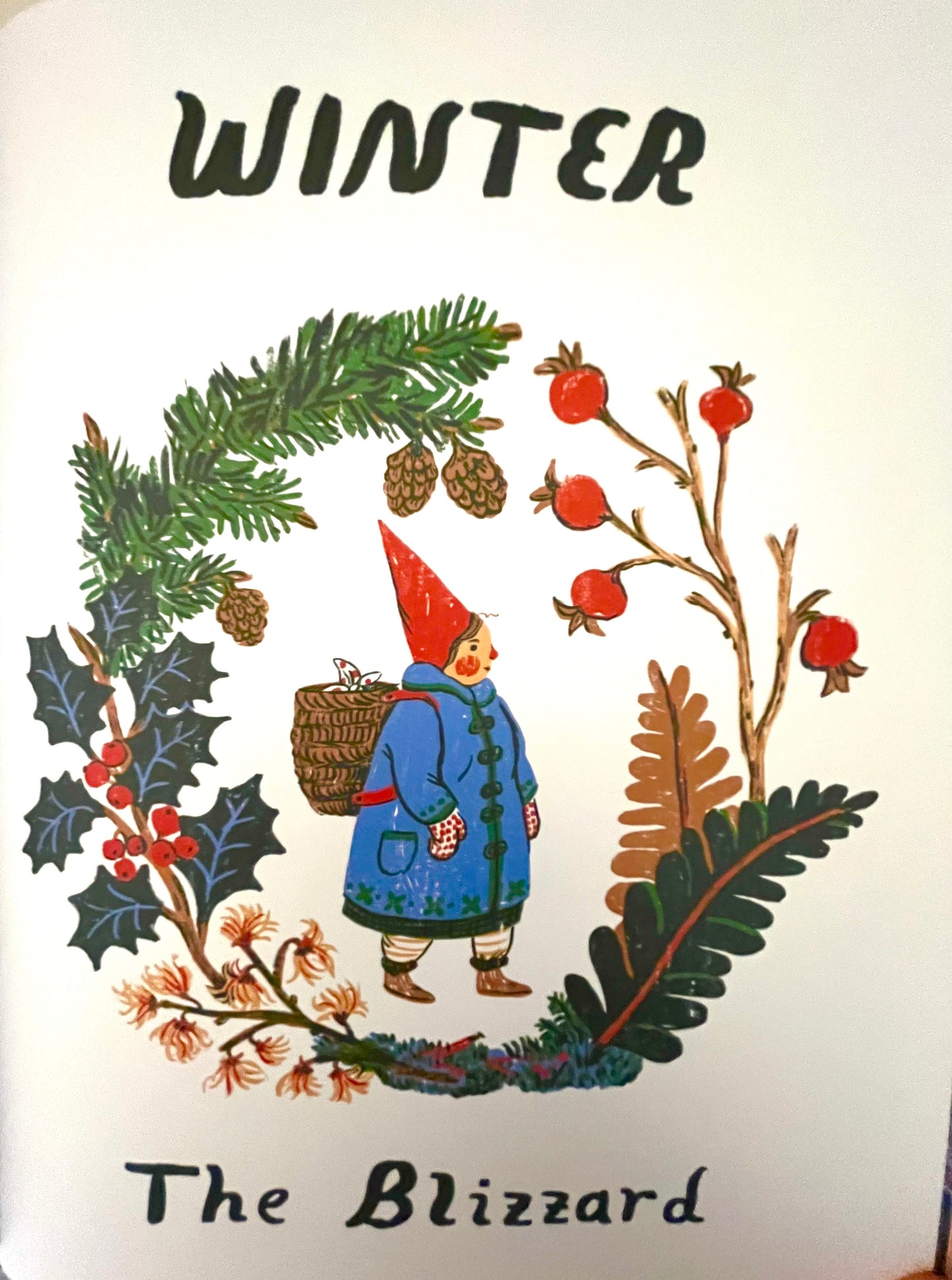 Children's Chapter Picture Book - LITTLE WITCH HAZEL, A Year in the Forest