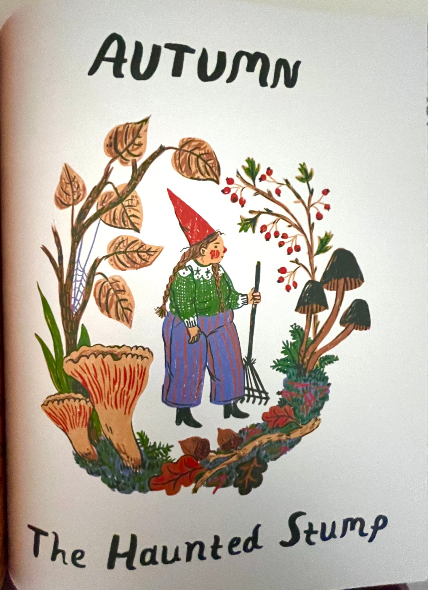 Children's Chapter Picture Book - LITTLE WITCH HAZEL, A Year in the Forest